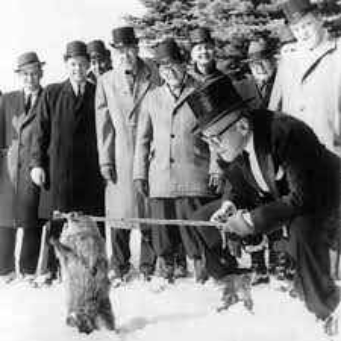 The First Groundhog Day