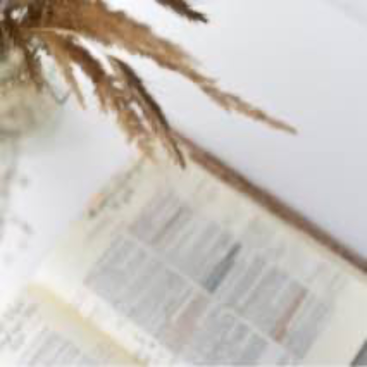 Praying Through the Bible