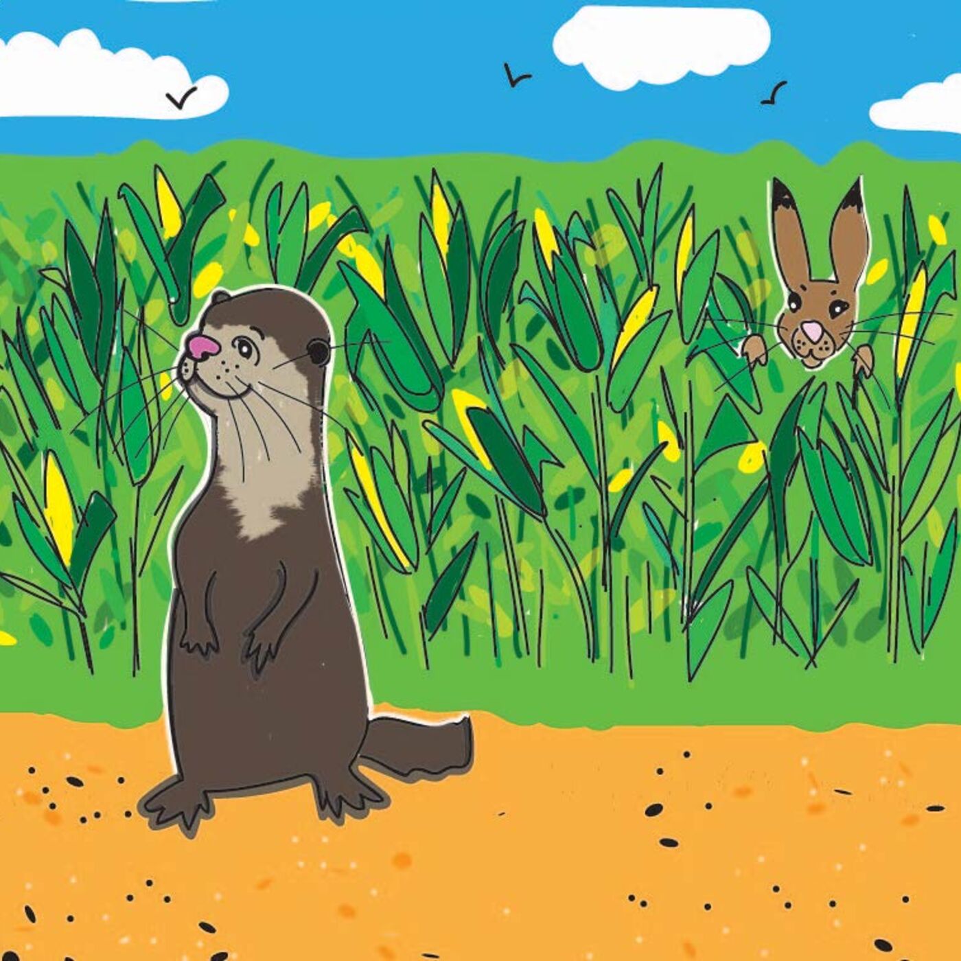 How Rabbit stole Otter's Coat!
