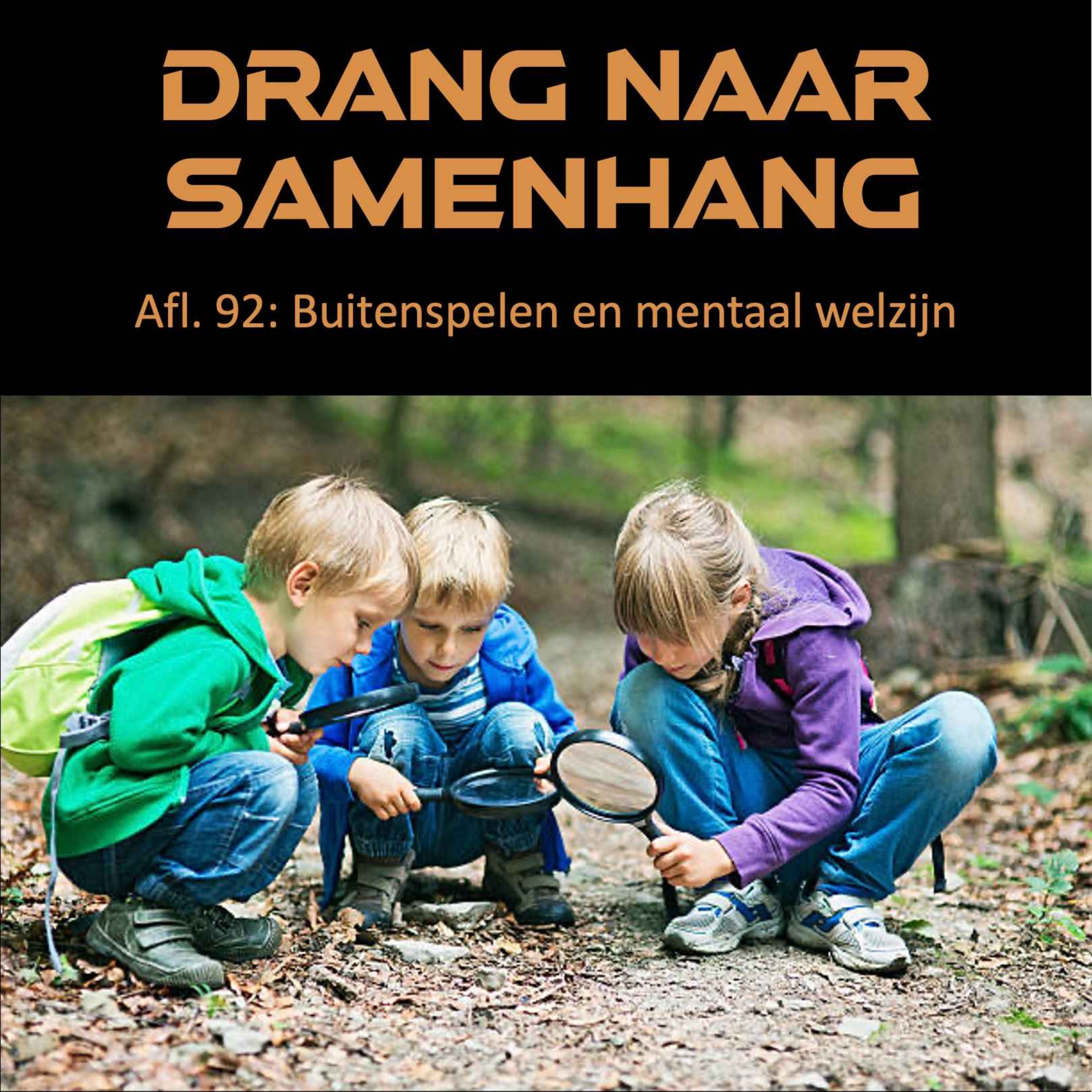Drang naar Samenhang