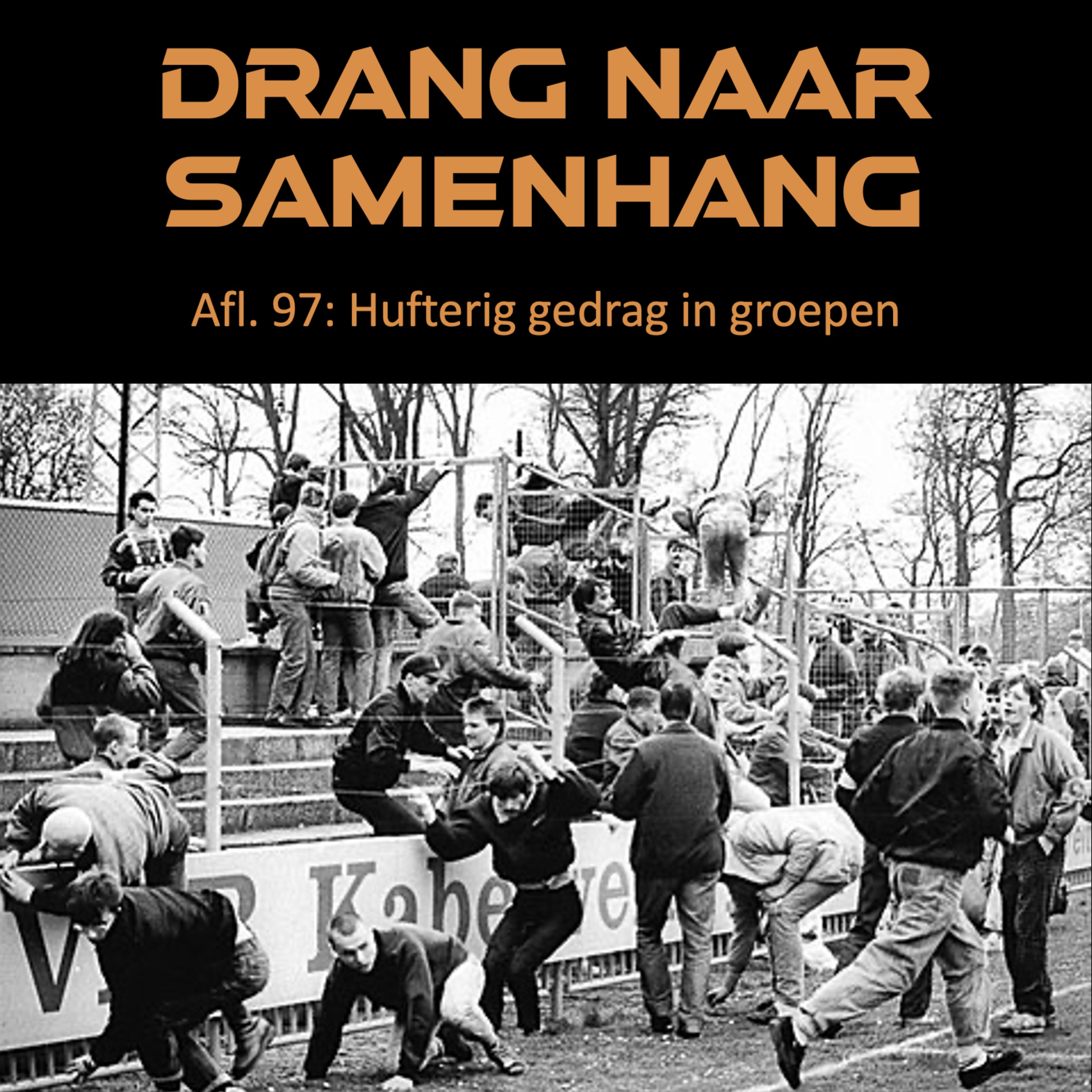 Drang naar Samenhang