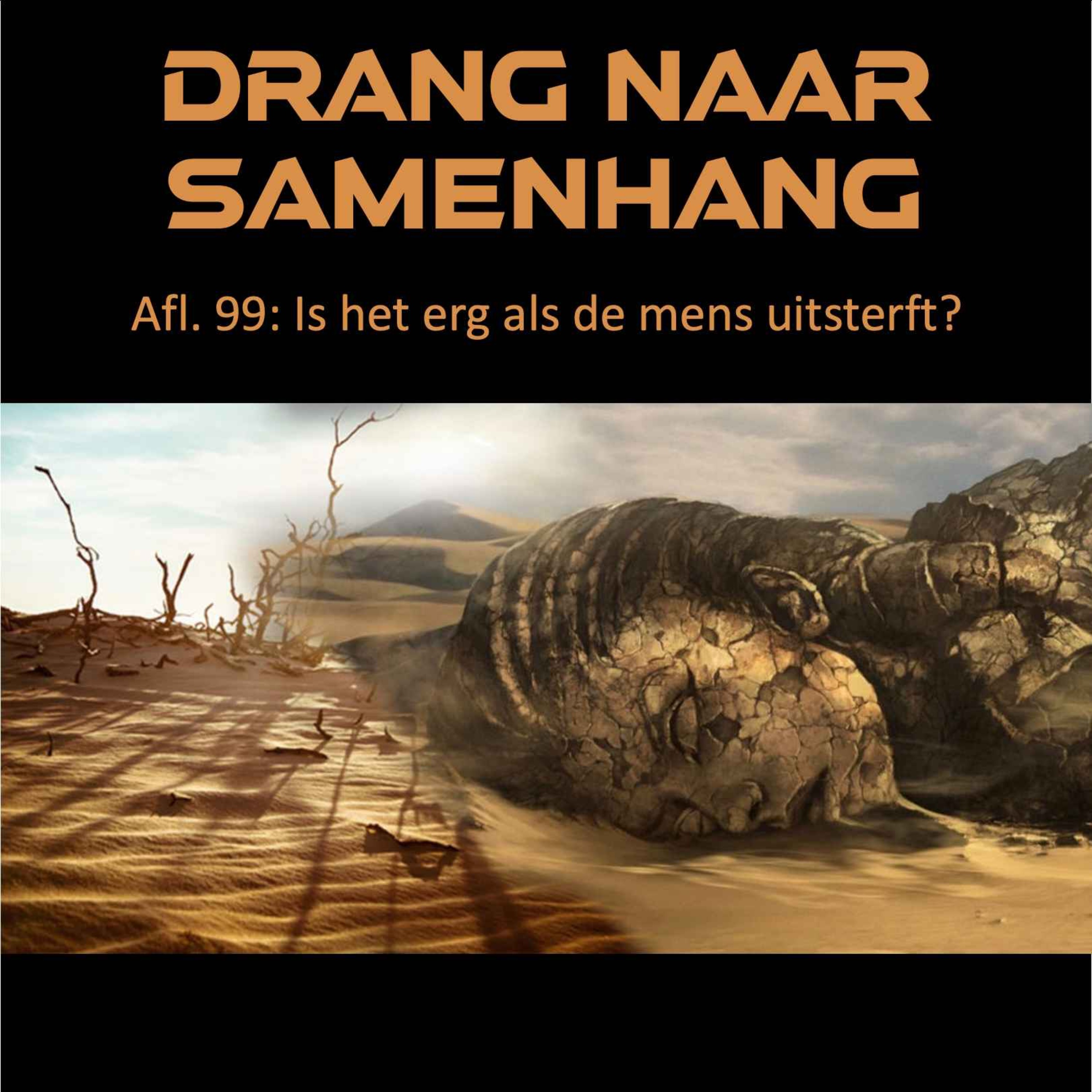 Drang naar Samenhang