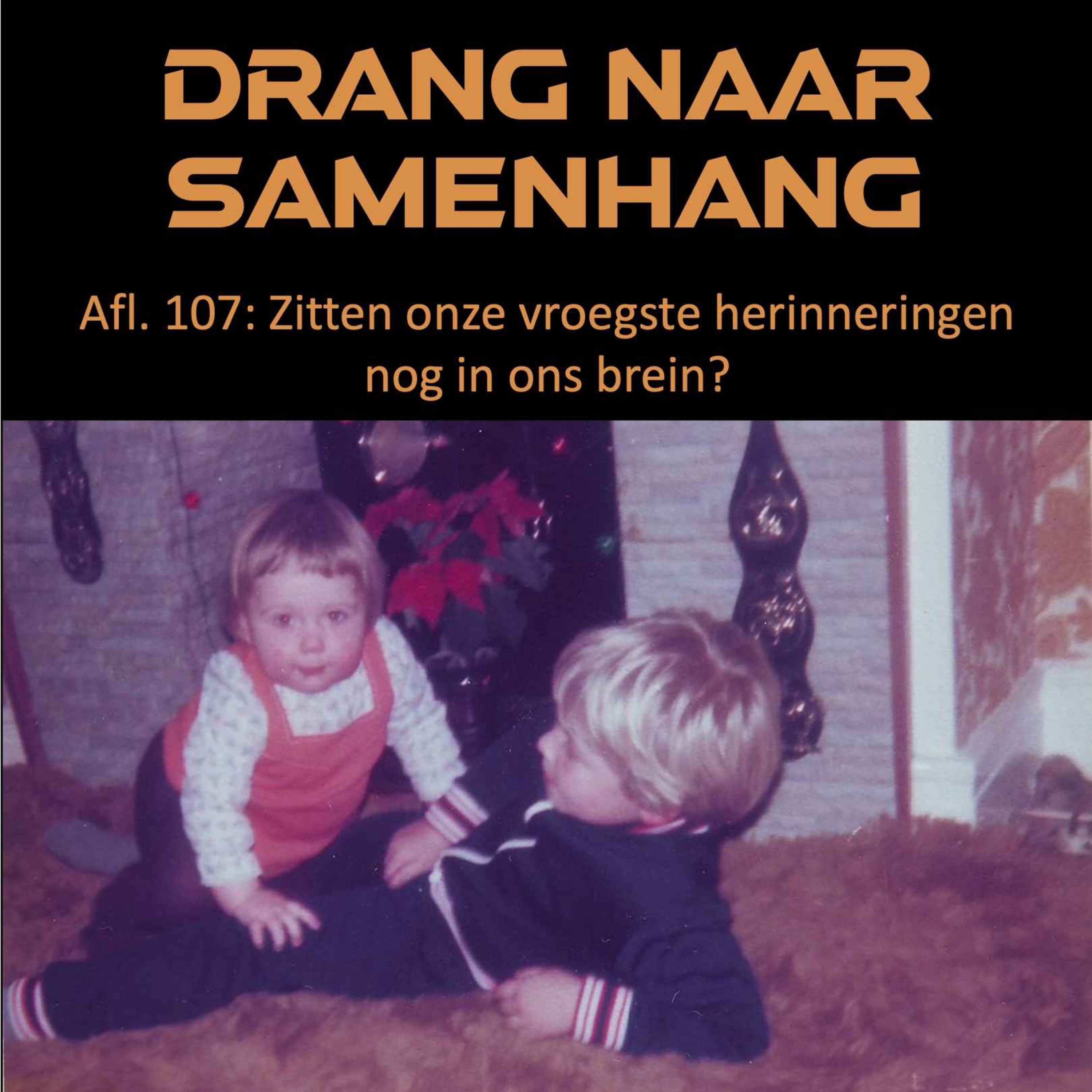 Drang naar Samenhang