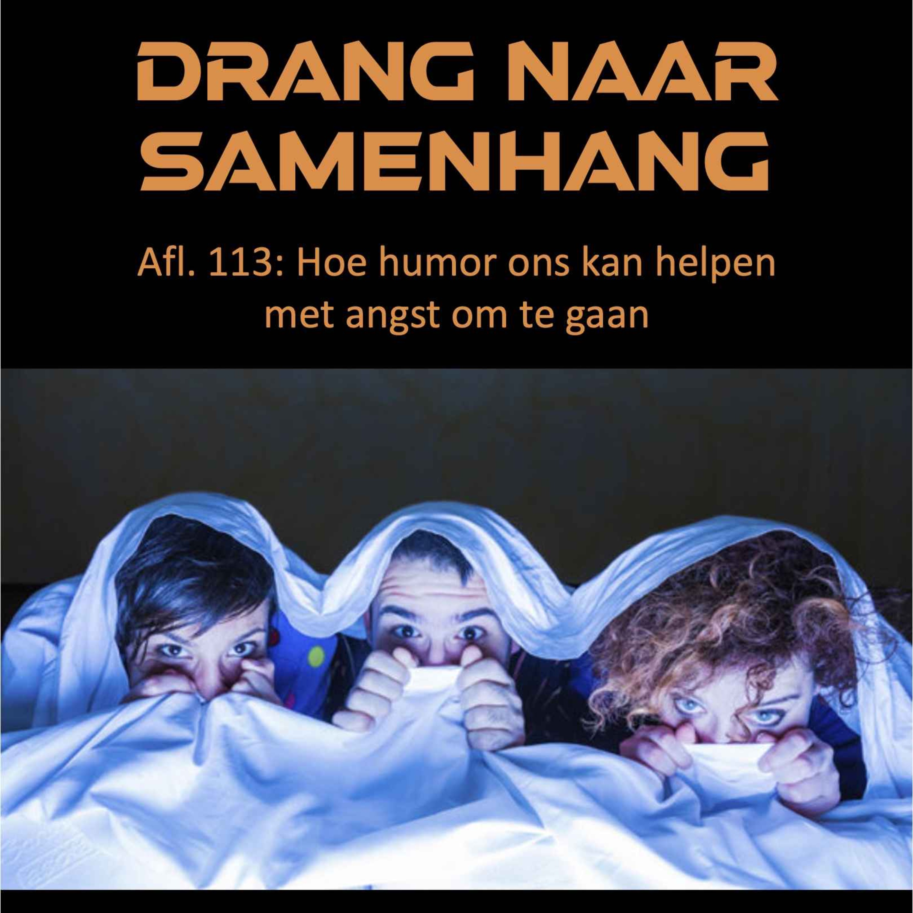 Drang naar Samenhang