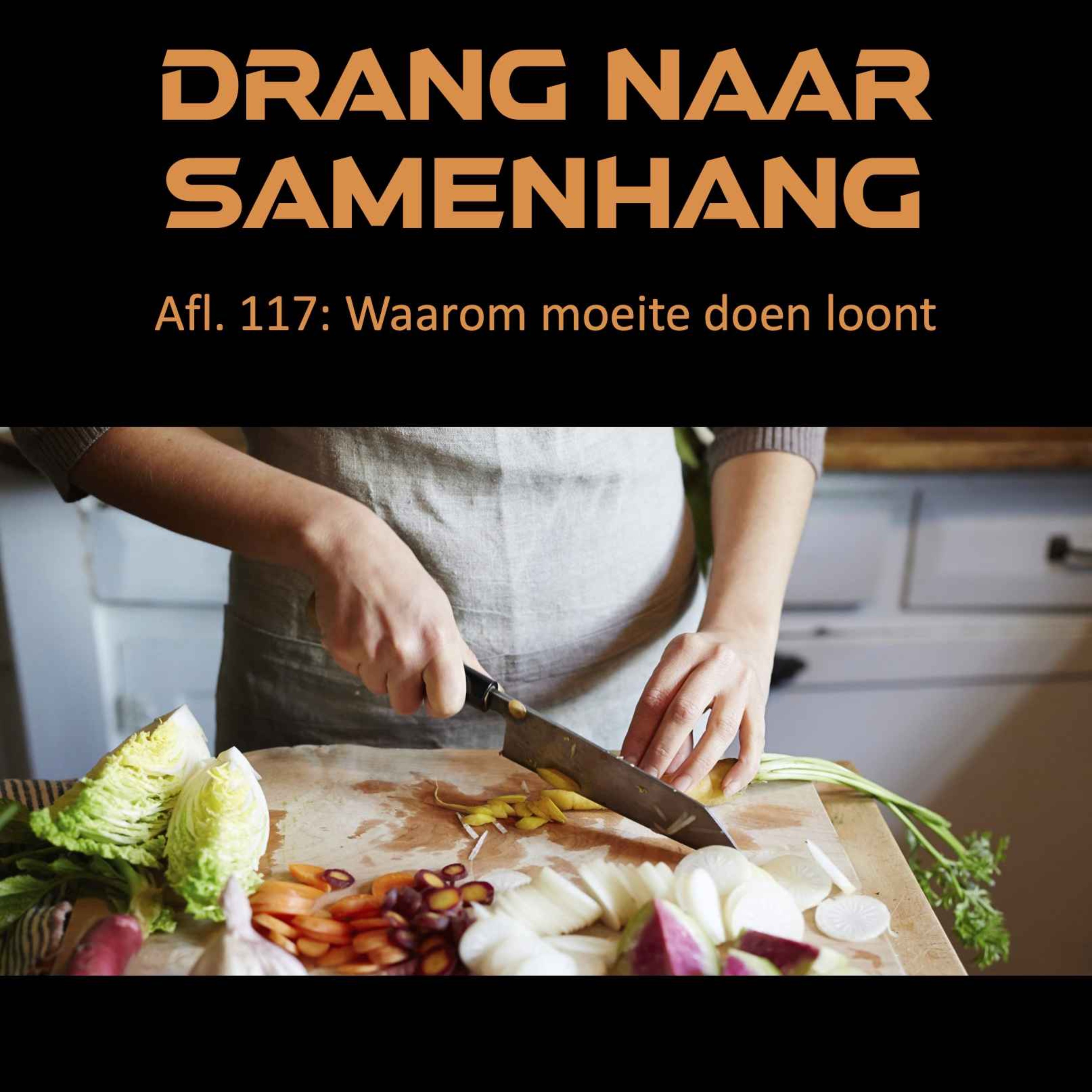 Drang naar Samenhang