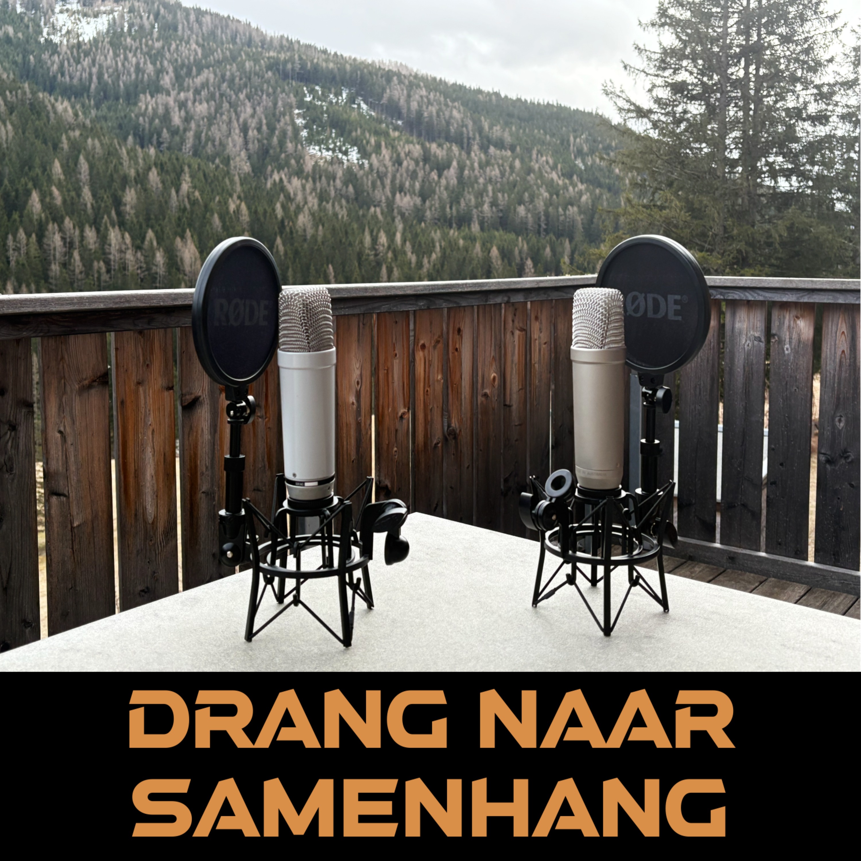 Drang naar Samenhang