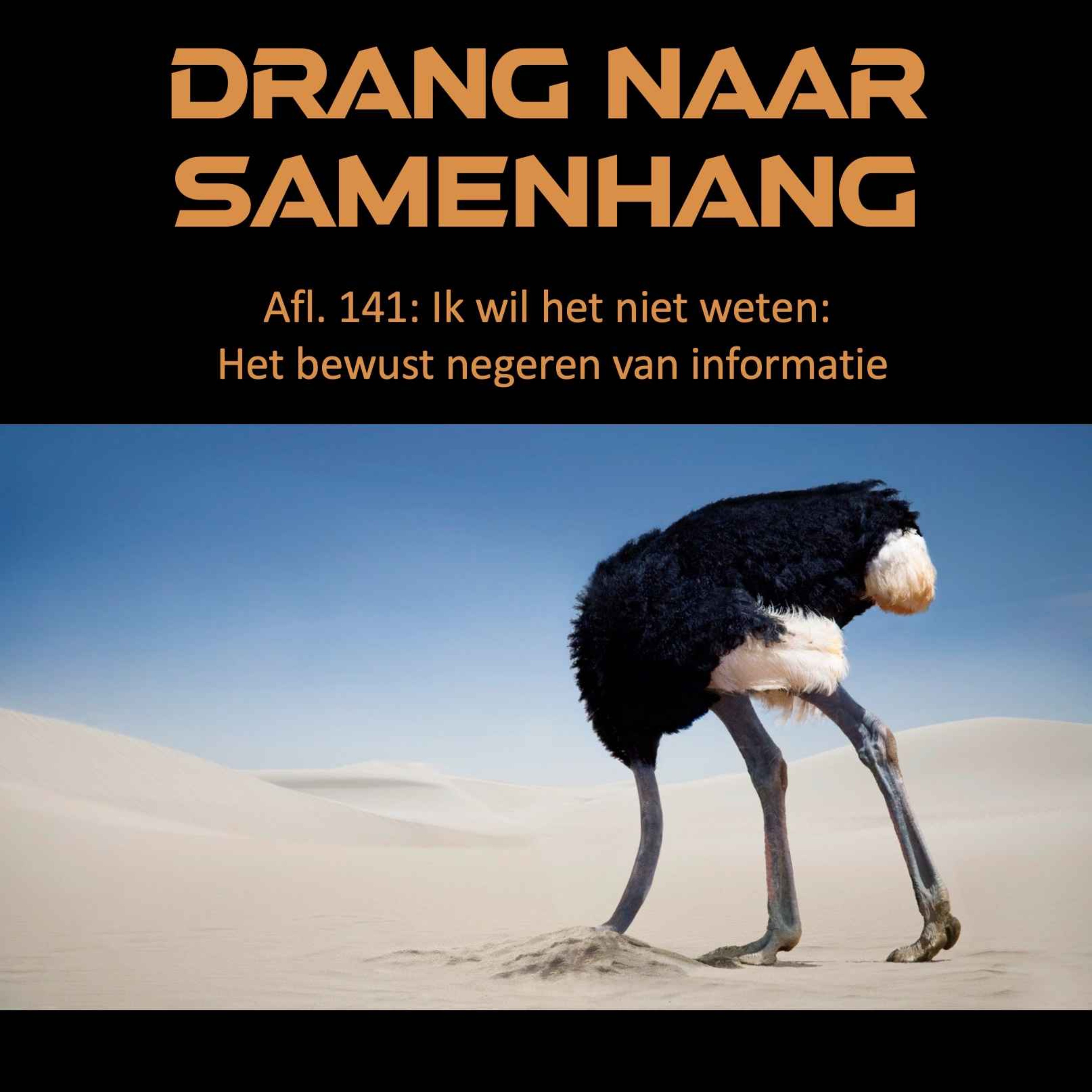 Drang naar Samenhang