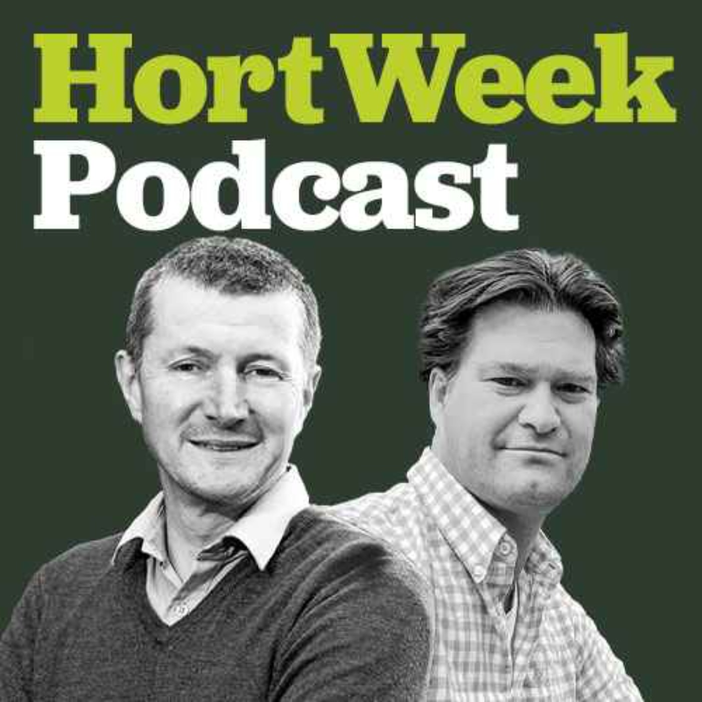 Are UK garden centres underperforming? Dries Jansen from Garden Center Advice on data that could boost your yield per sqm