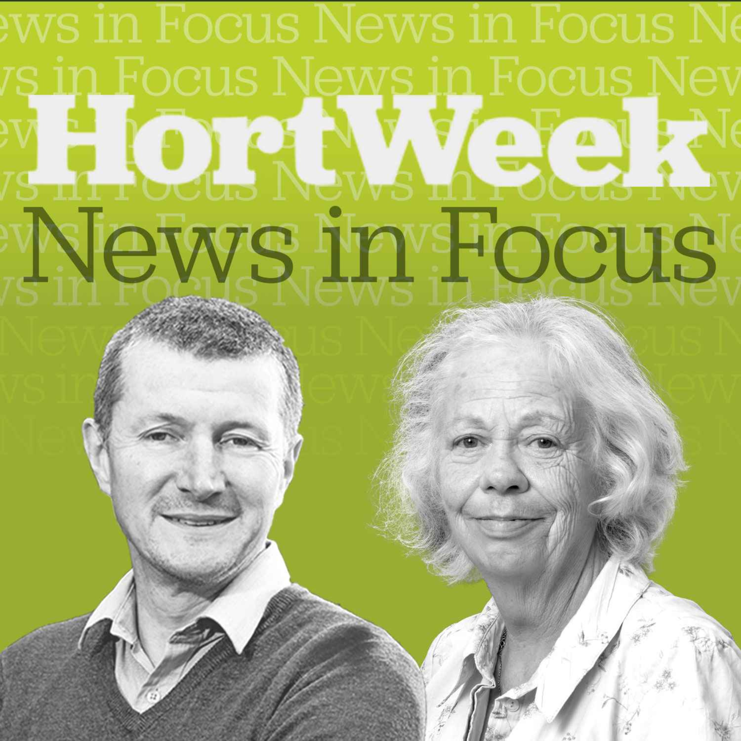Prizes, products and pilfering at Four Oaks 2026 and HortWeek's new plant ID game Hortle goes viral episode artwork