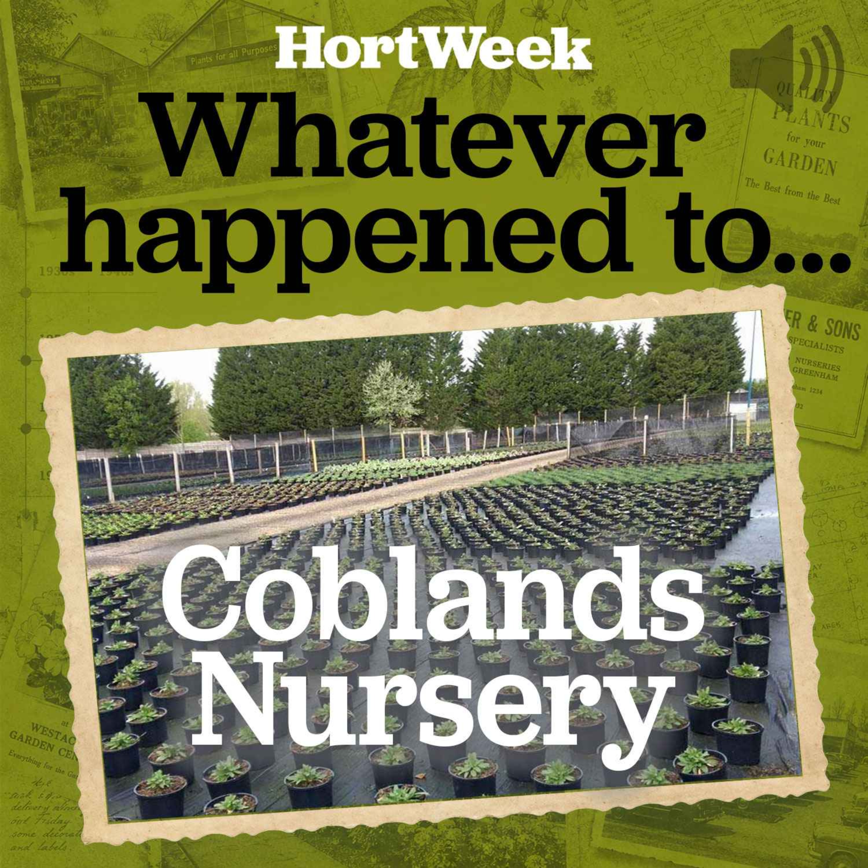HortWeek Podcast