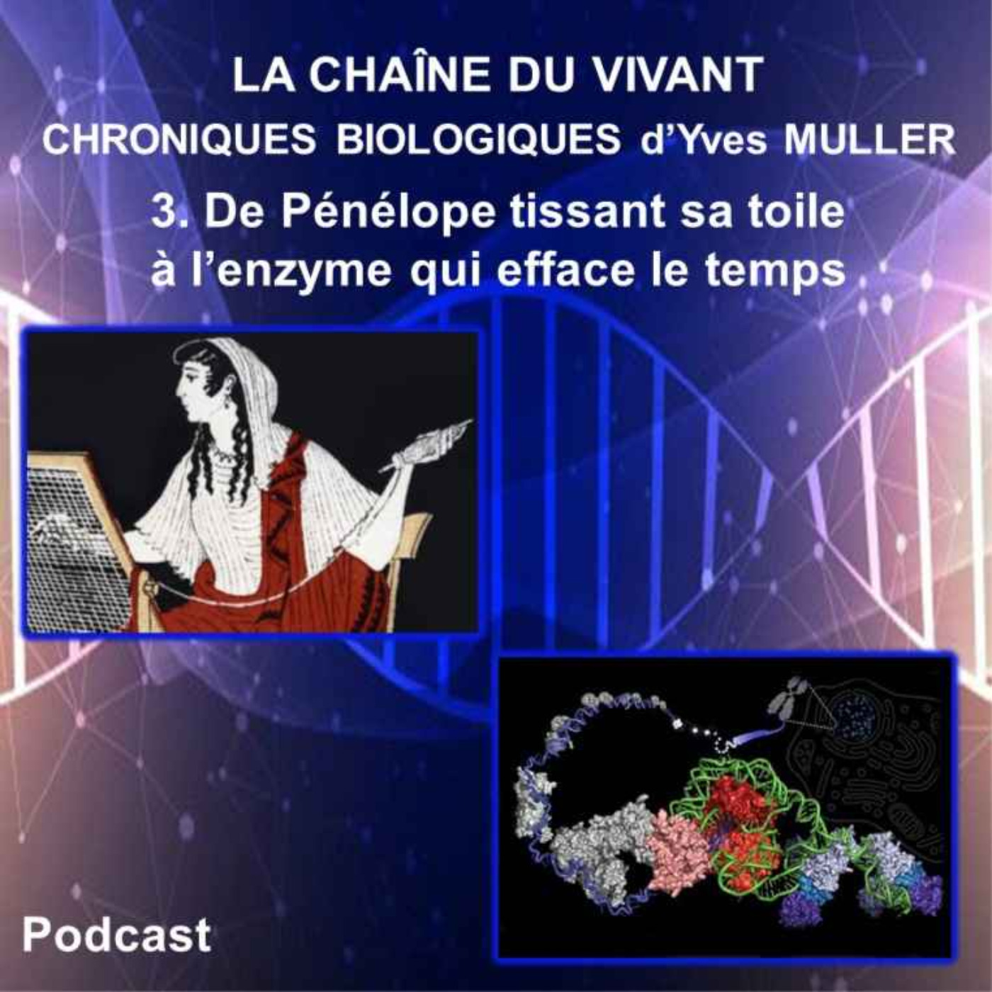 3. De Pénélope tissant sa toile à l’enzyme qui efface le temps episode artwork