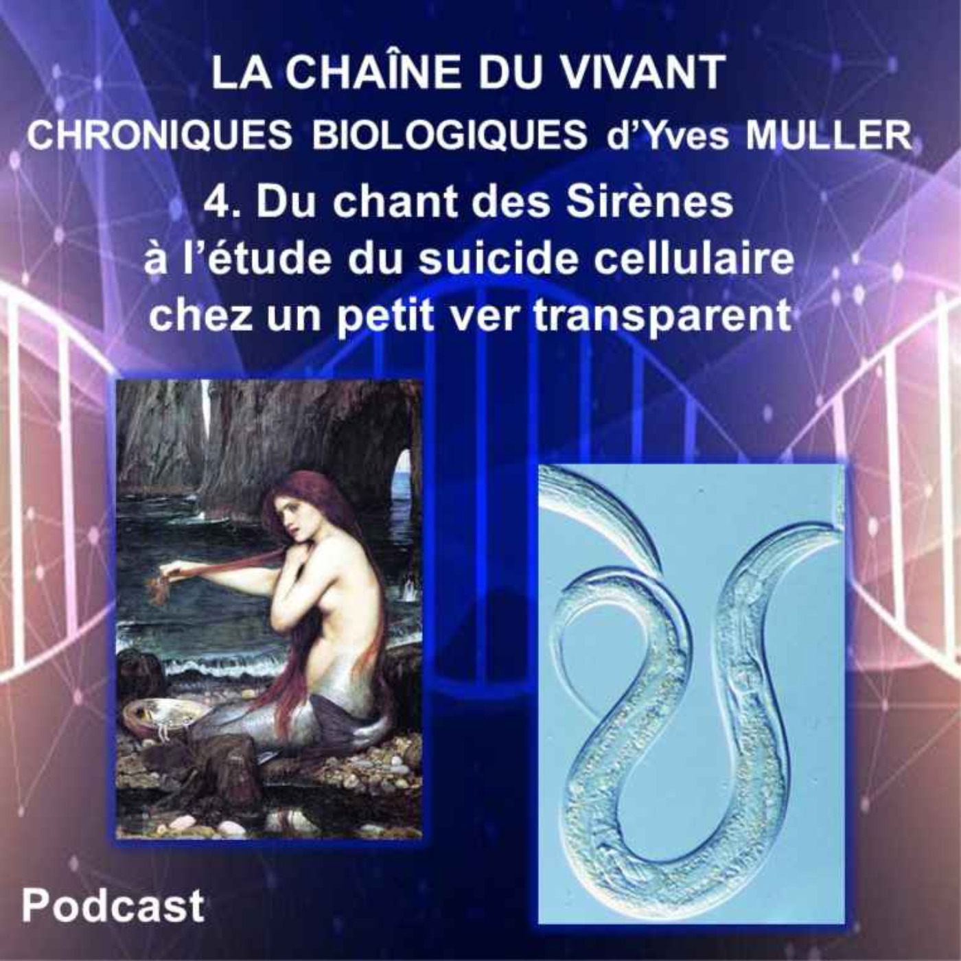 4. Du chant des Sirènes à l’étude du suicide cellulaire chez un petit ver transparent episode artwork