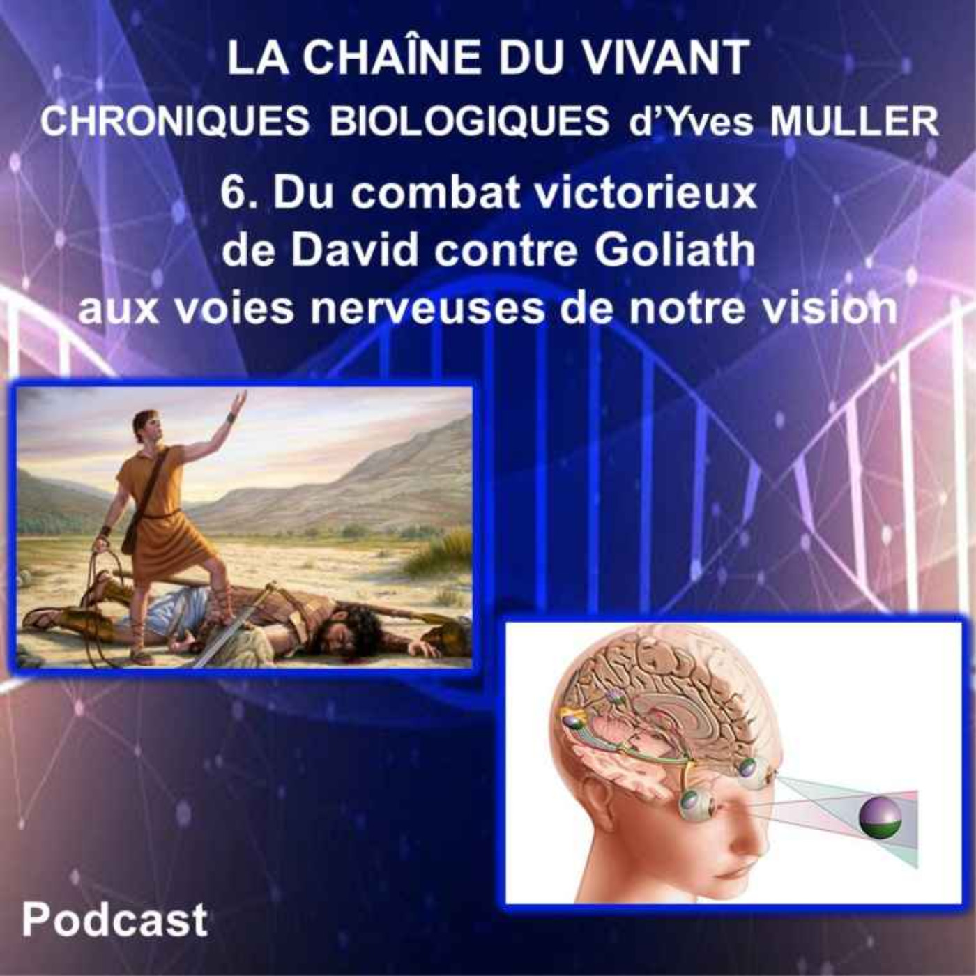 6. Du combat victorieux de David contre Goliath aux voies nerveuses de notre vision episode artwork