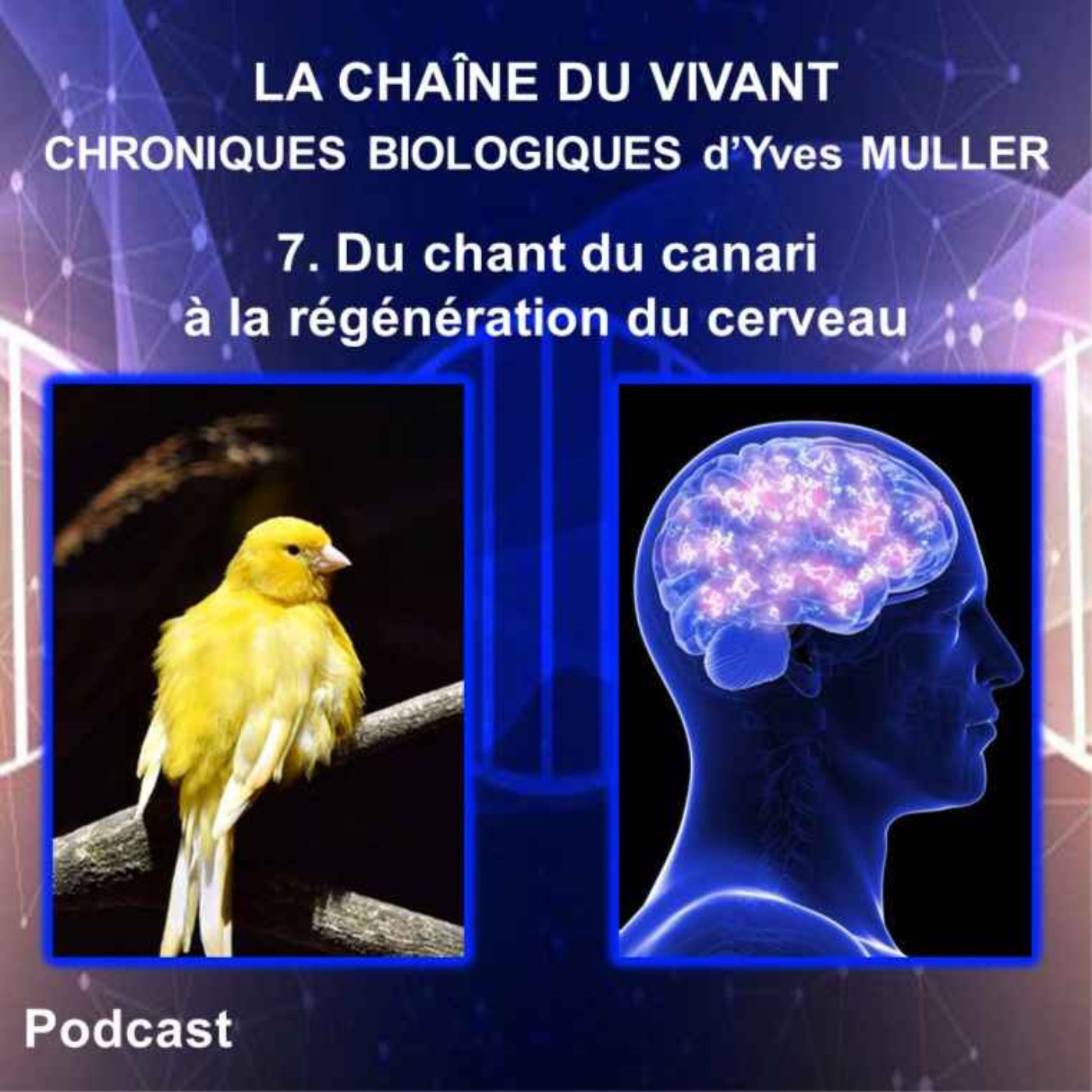 La Chaîne du Vivant - Chroniques de Biologie d\'Yves Muller