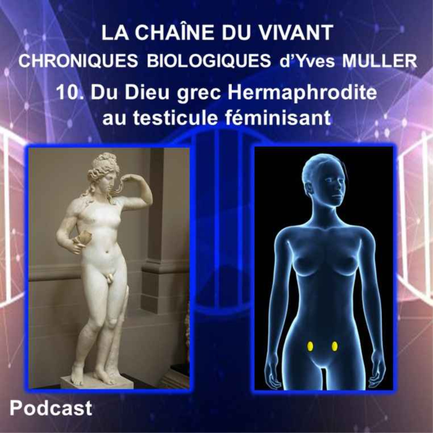 10. Du Dieu grec Hermaphrodite au testicule féminisant episode artwork