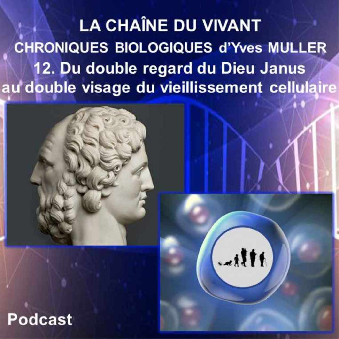 12. Du double regard du Dieu Janus au double visage de la sénescence cellulaire episode artwork