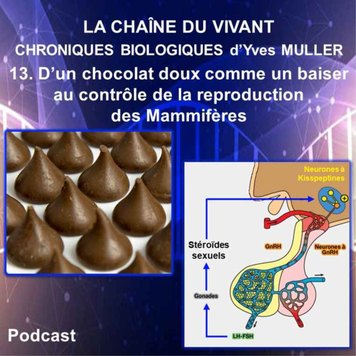 13. D'un chocolat doux comme un baiser au contrôle de la reproduction des Mammifères episode artwork