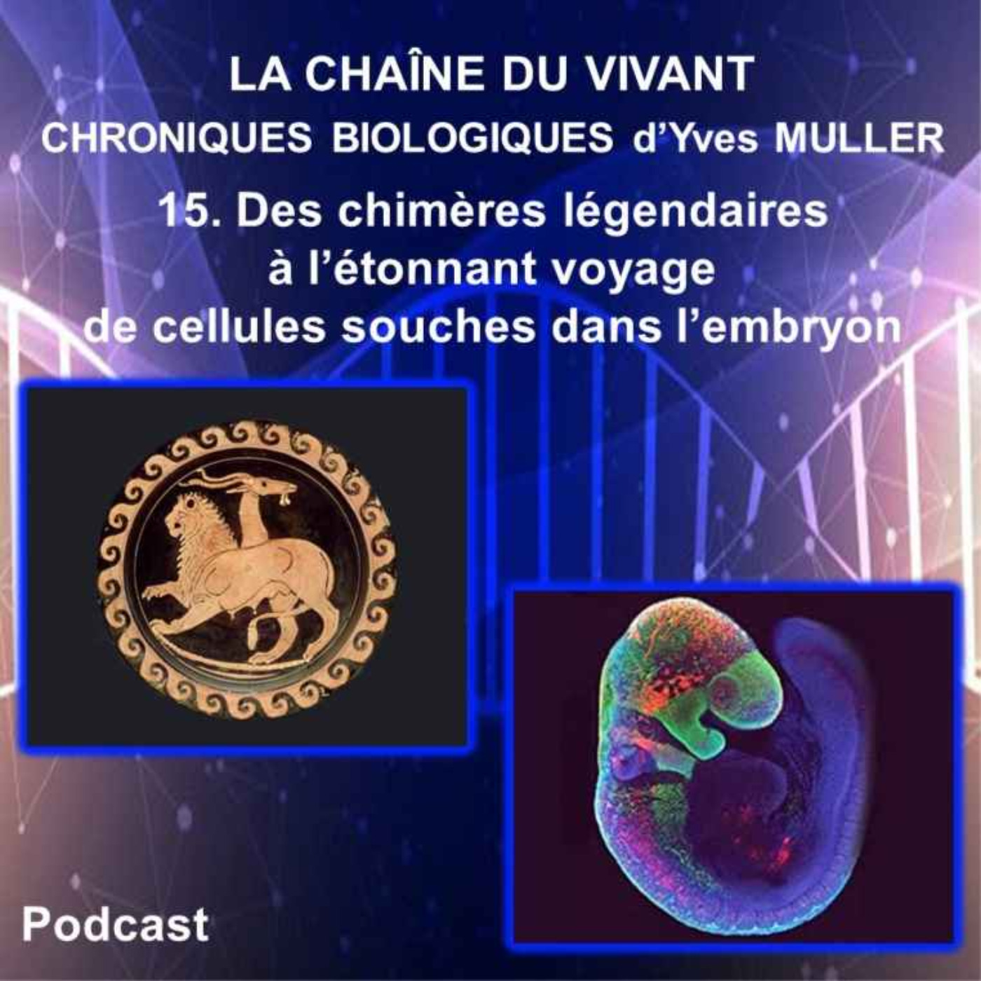 15. Des chimères légendaires à l’étonnant voyage de cellules souches dans l’embryon episode artwork