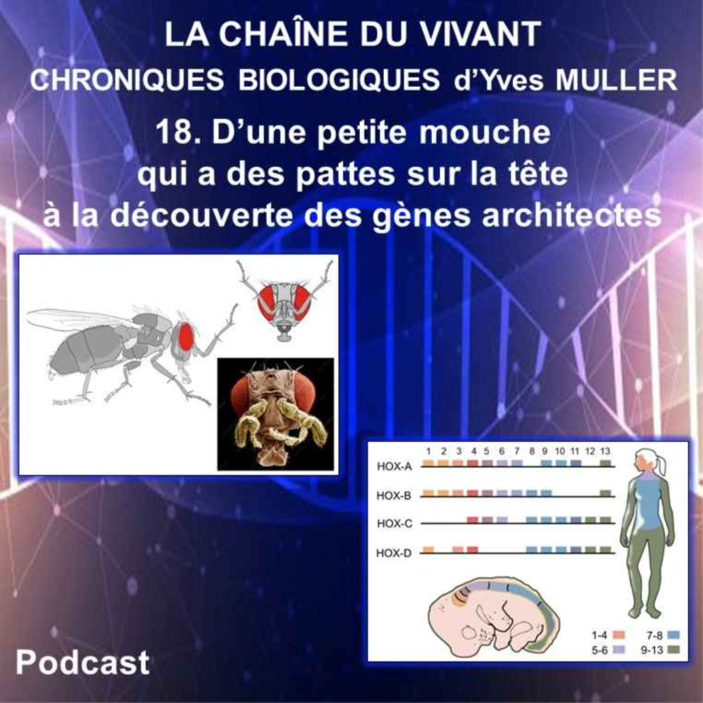 La Chaîne du Vivant - Chroniques de Biologie d\'Yves Muller