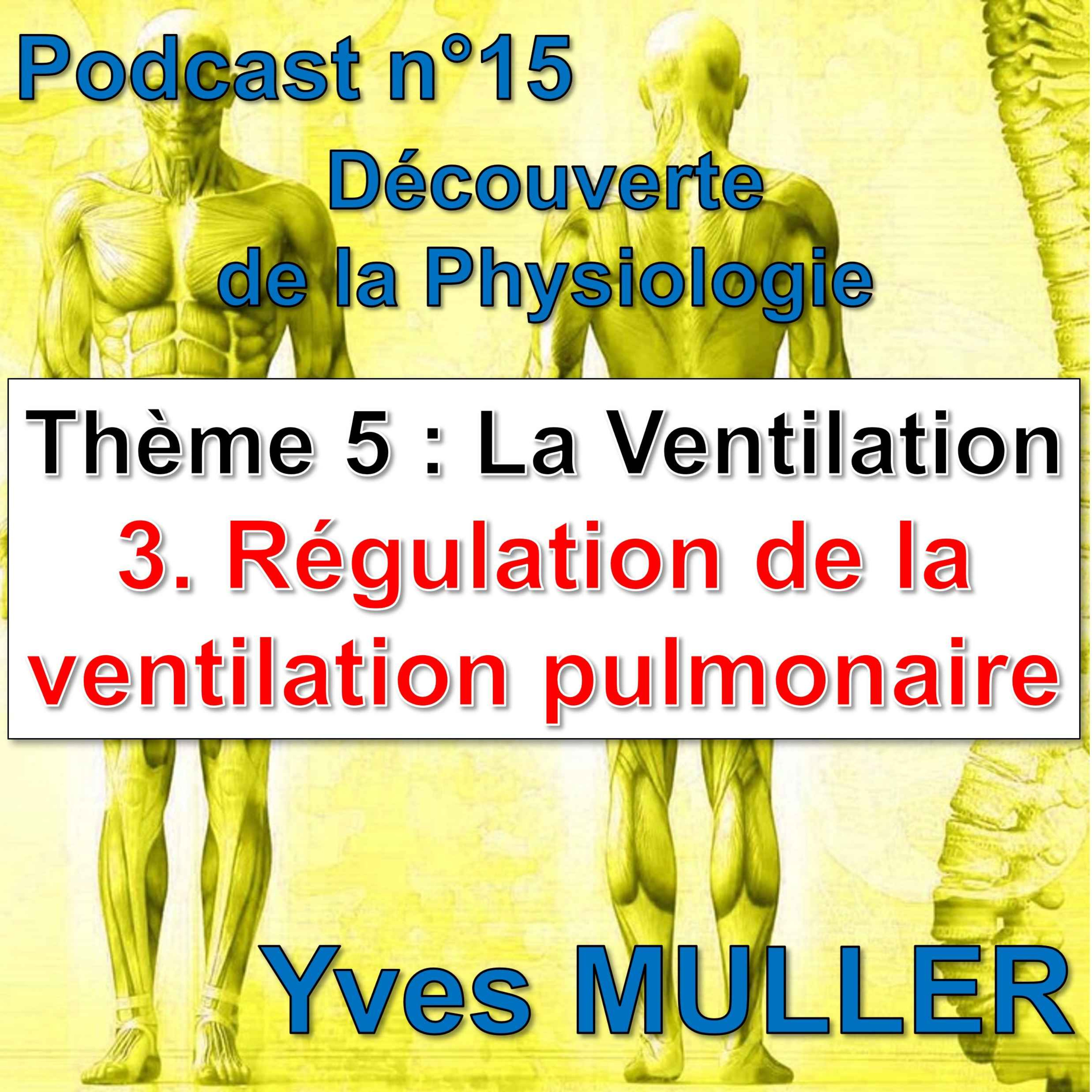 15. La ventilation - La régulation de la ventilation pulmonaire episode artwork