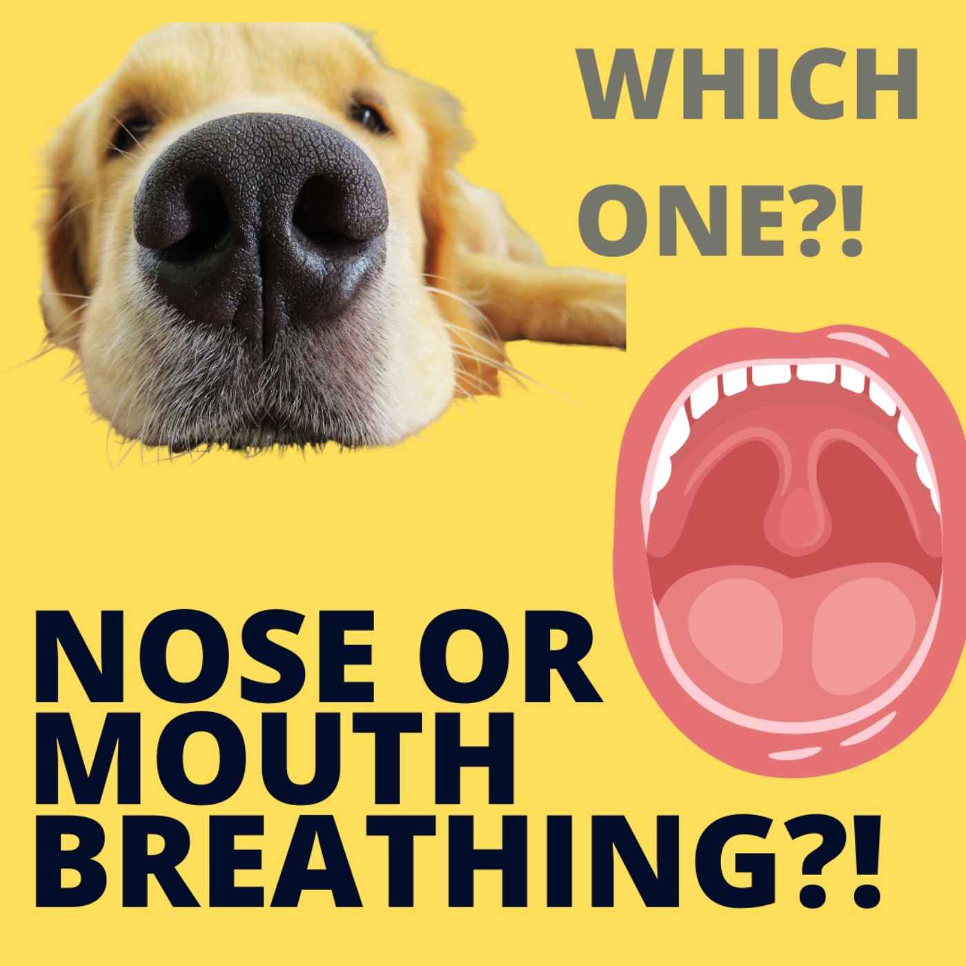 The Weird Reason Why Your Run Breathing Technique Is Holding You Back  (Nose vs Mouth Breathing)