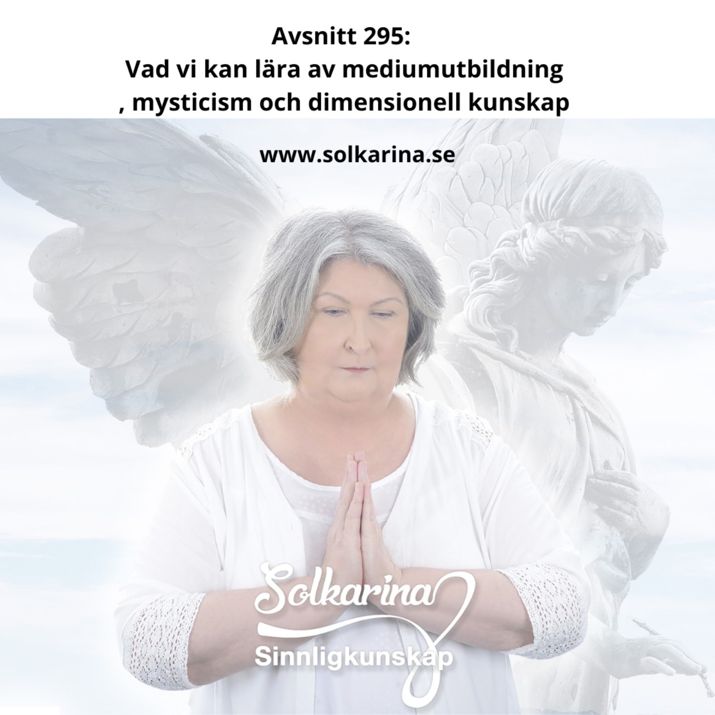 Avsnitt 295: Mystikerns kunskap och mediumutbildning och olika dimensioners kunskap träff 1