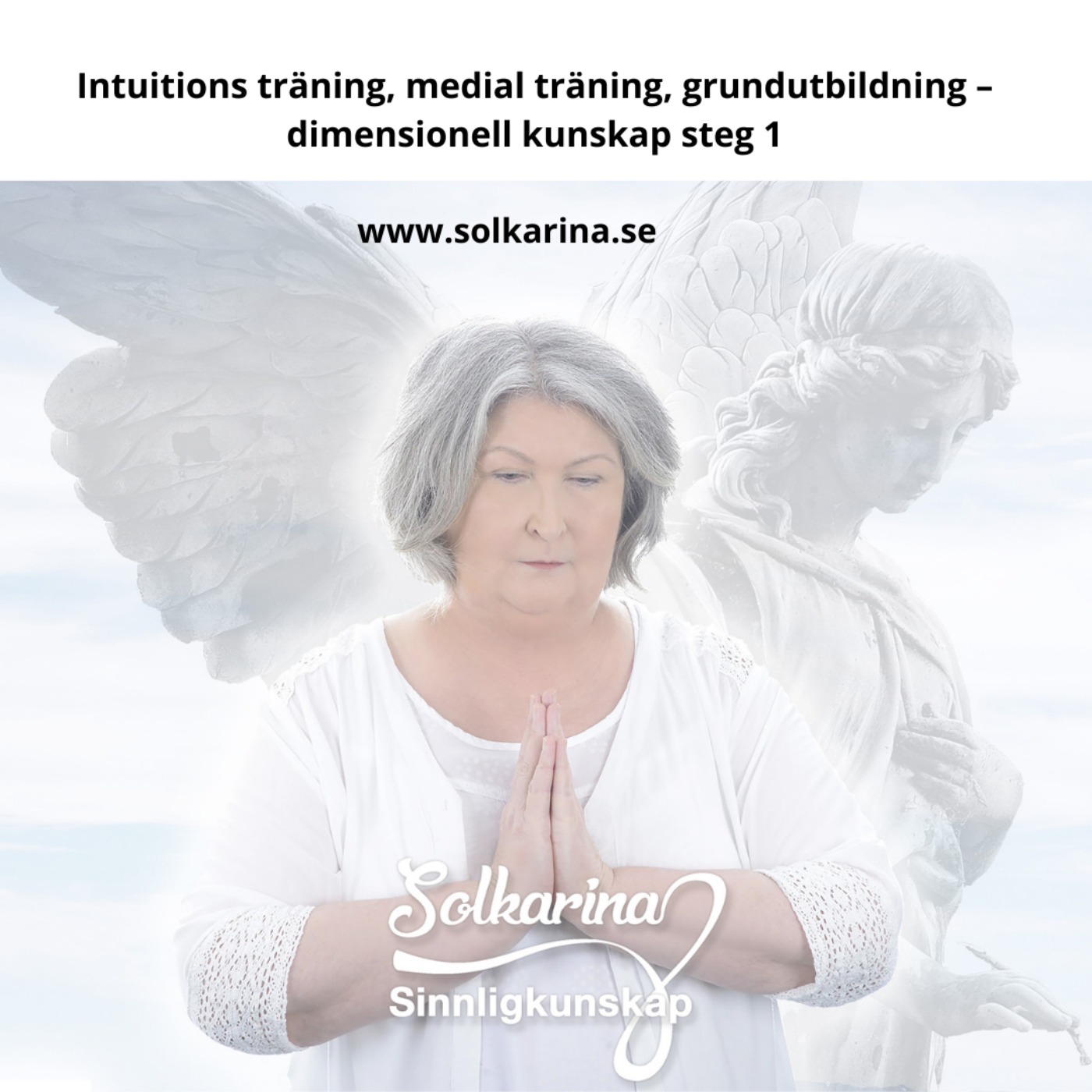 Inbjudan - Intuitions träning, medial träning, grundutbildning – dimensionell kunskap steg 1