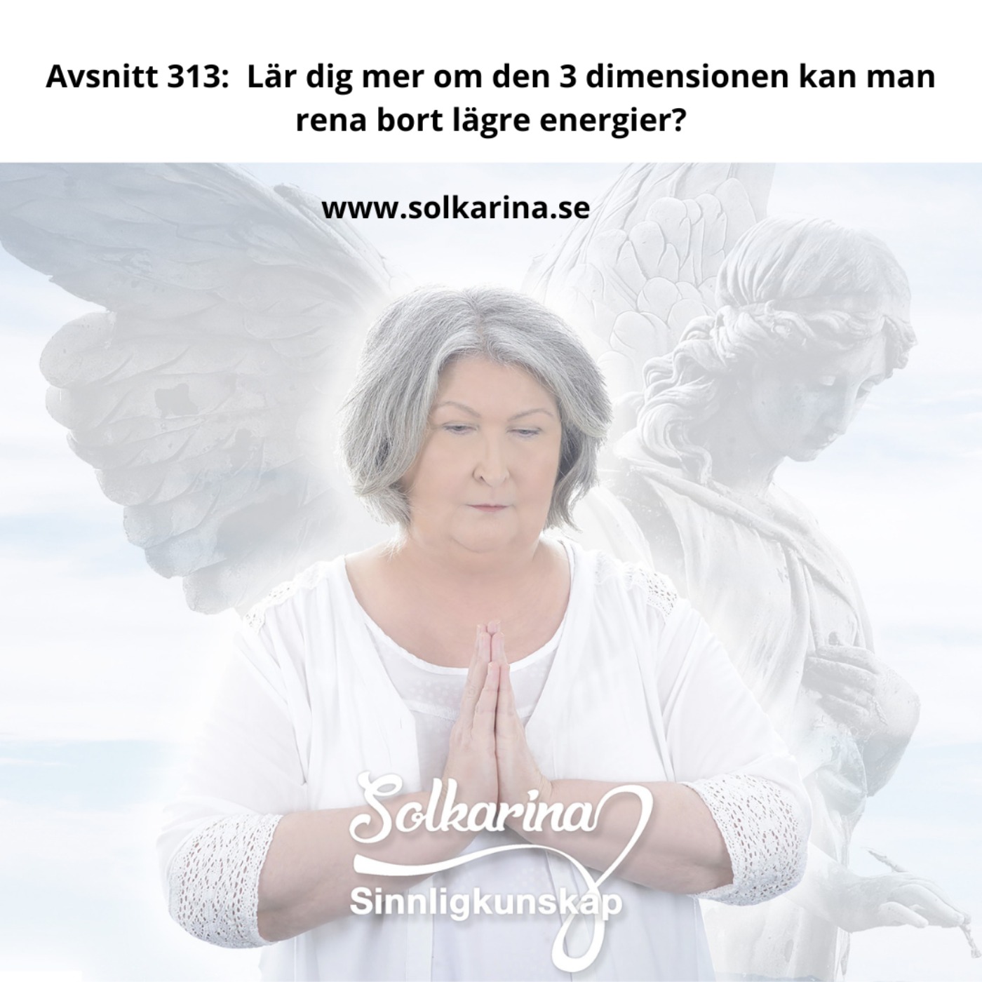 Avsnitt 313:  Lär dig mer om den 3 dimensionen kan man rena bort lägre energier?