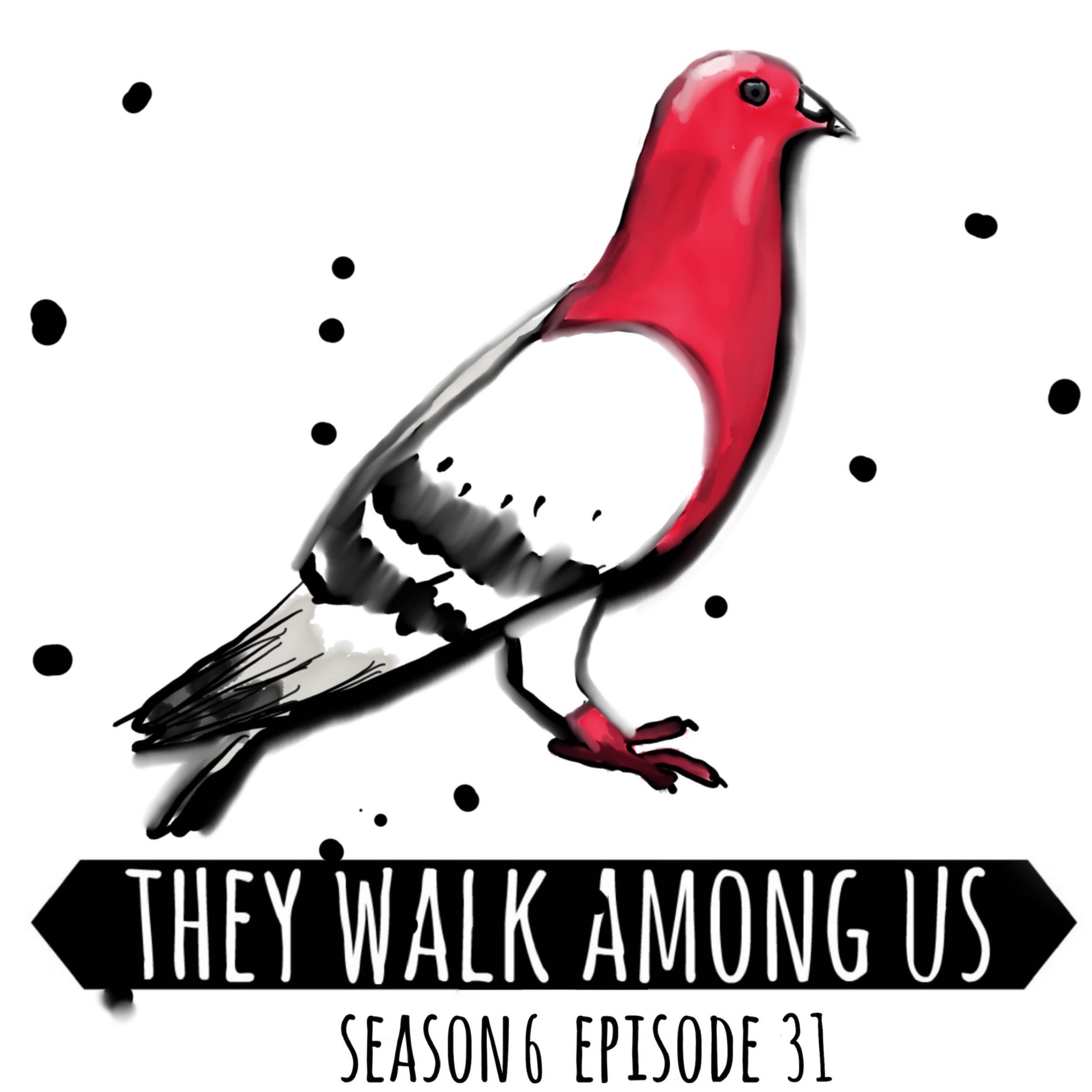 Season 6 - Episode 31
