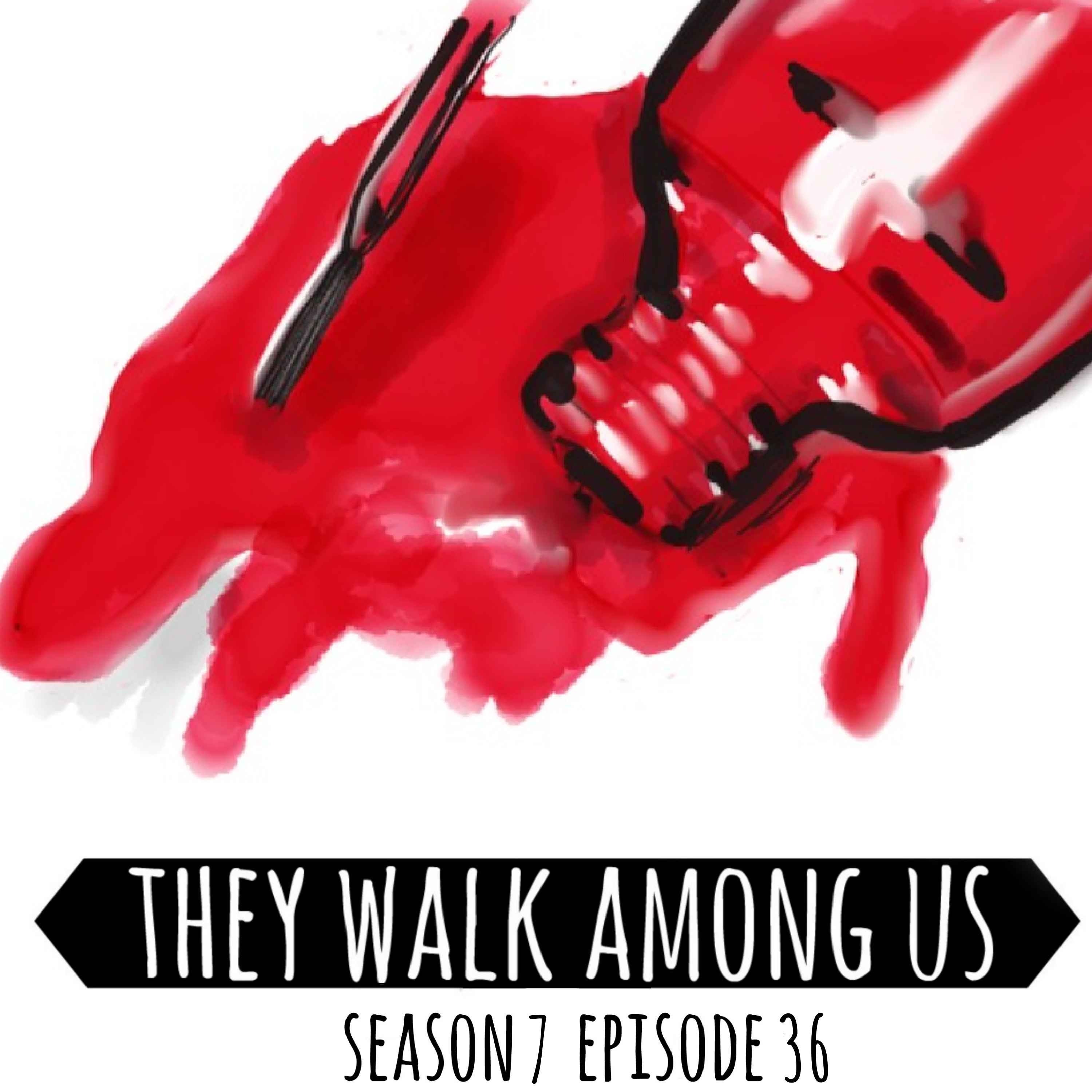 cover art for Season 7 - Episode 36