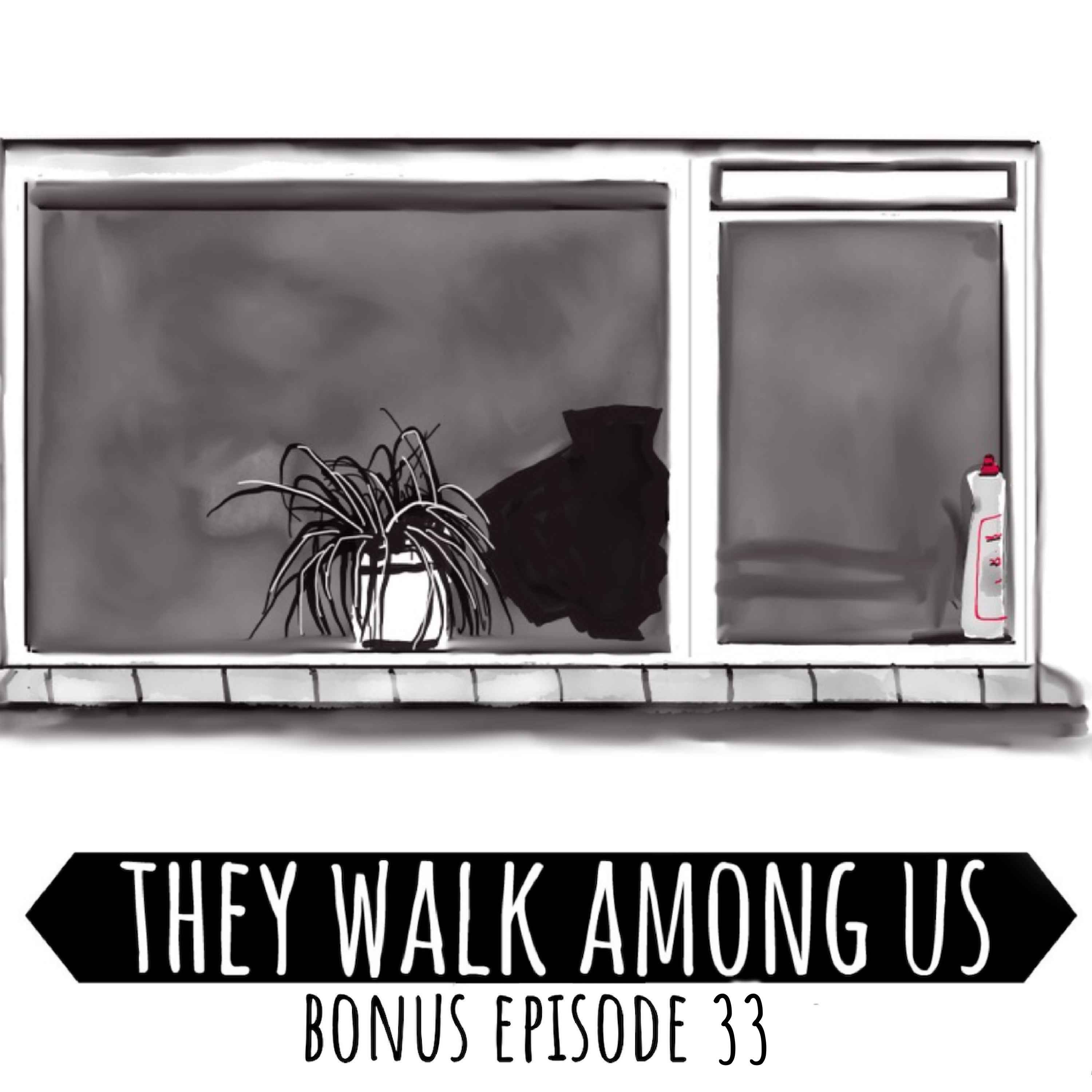 Bonus Episode 33