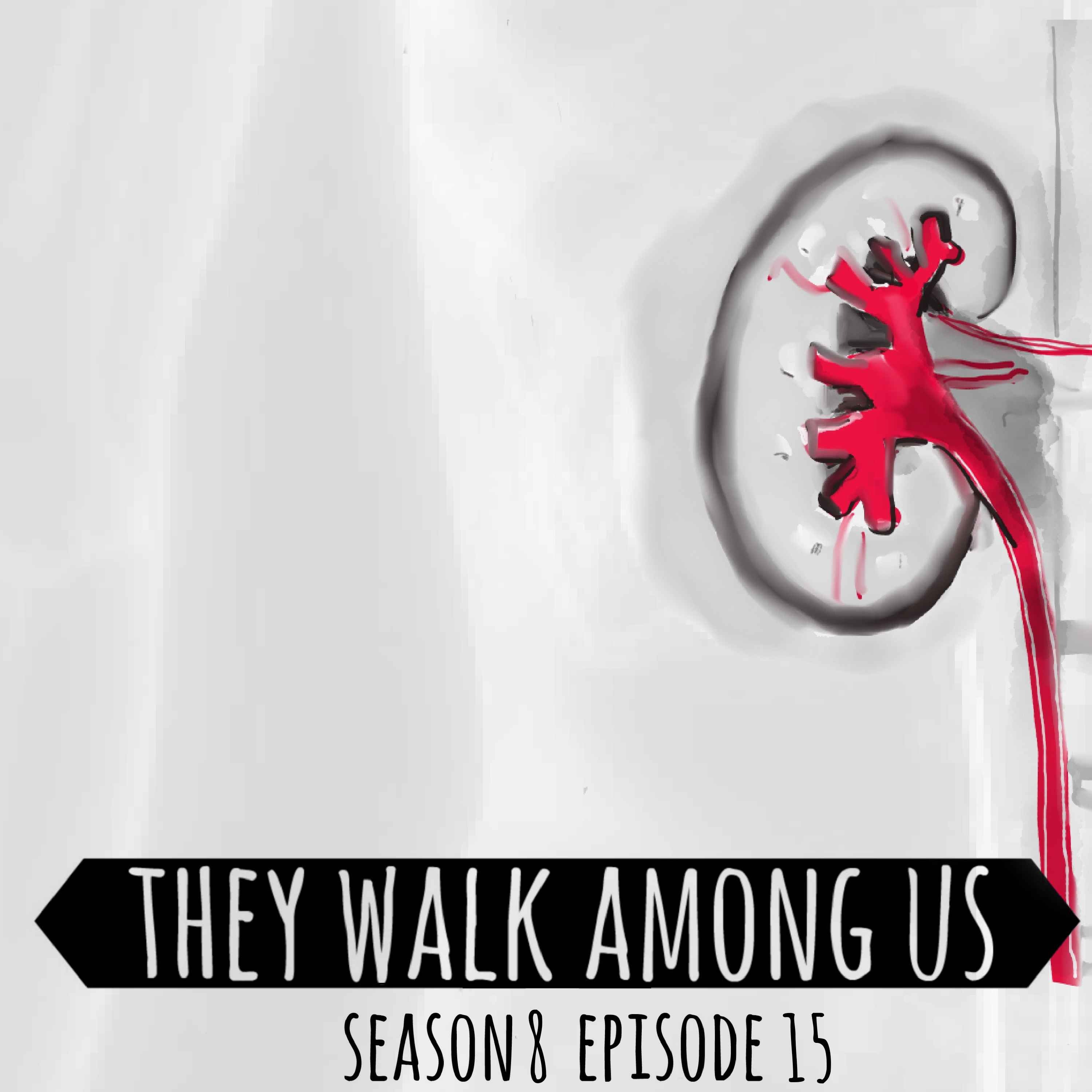 cover art for Season 8 - Episode 15