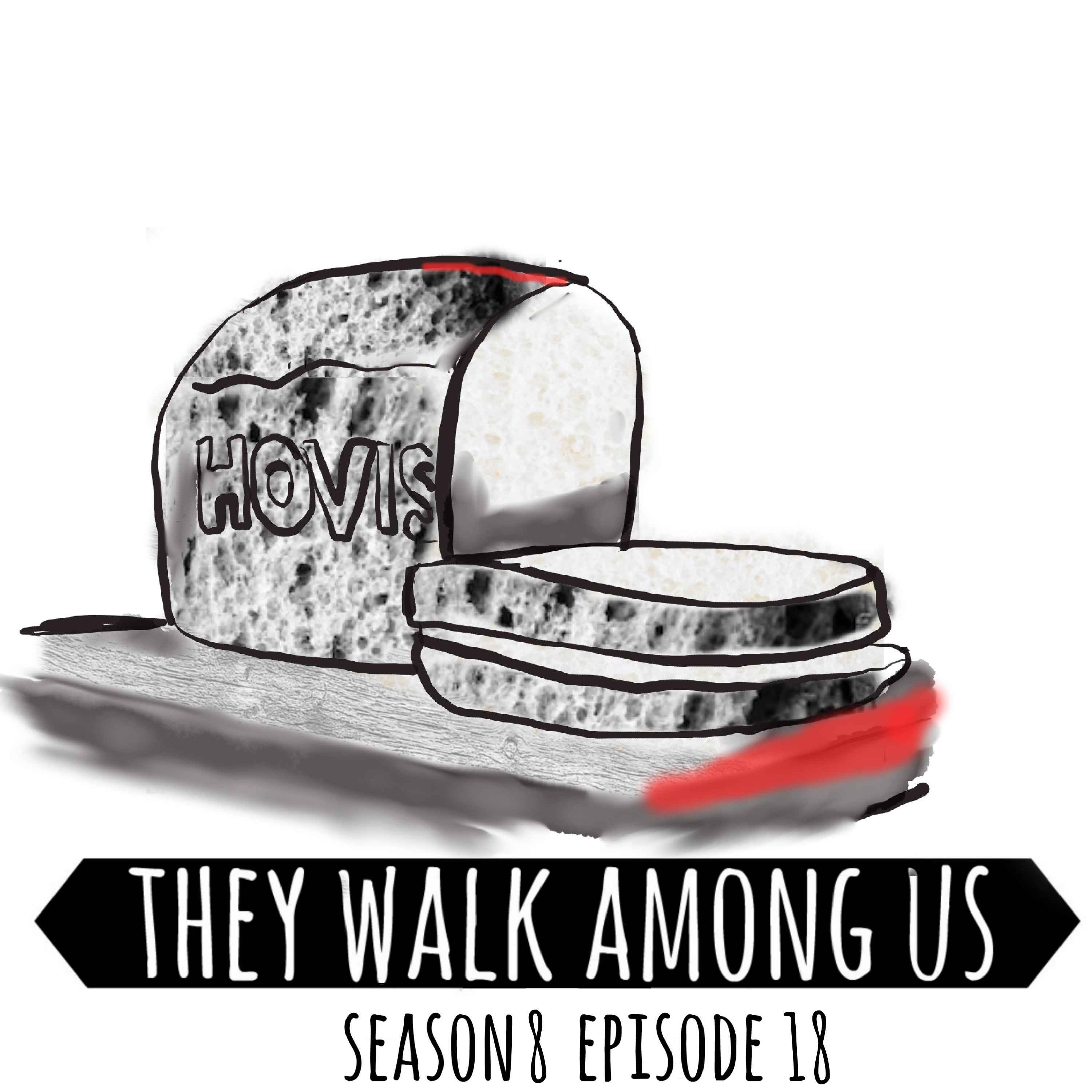 cover art for Season 8 - Episode 18