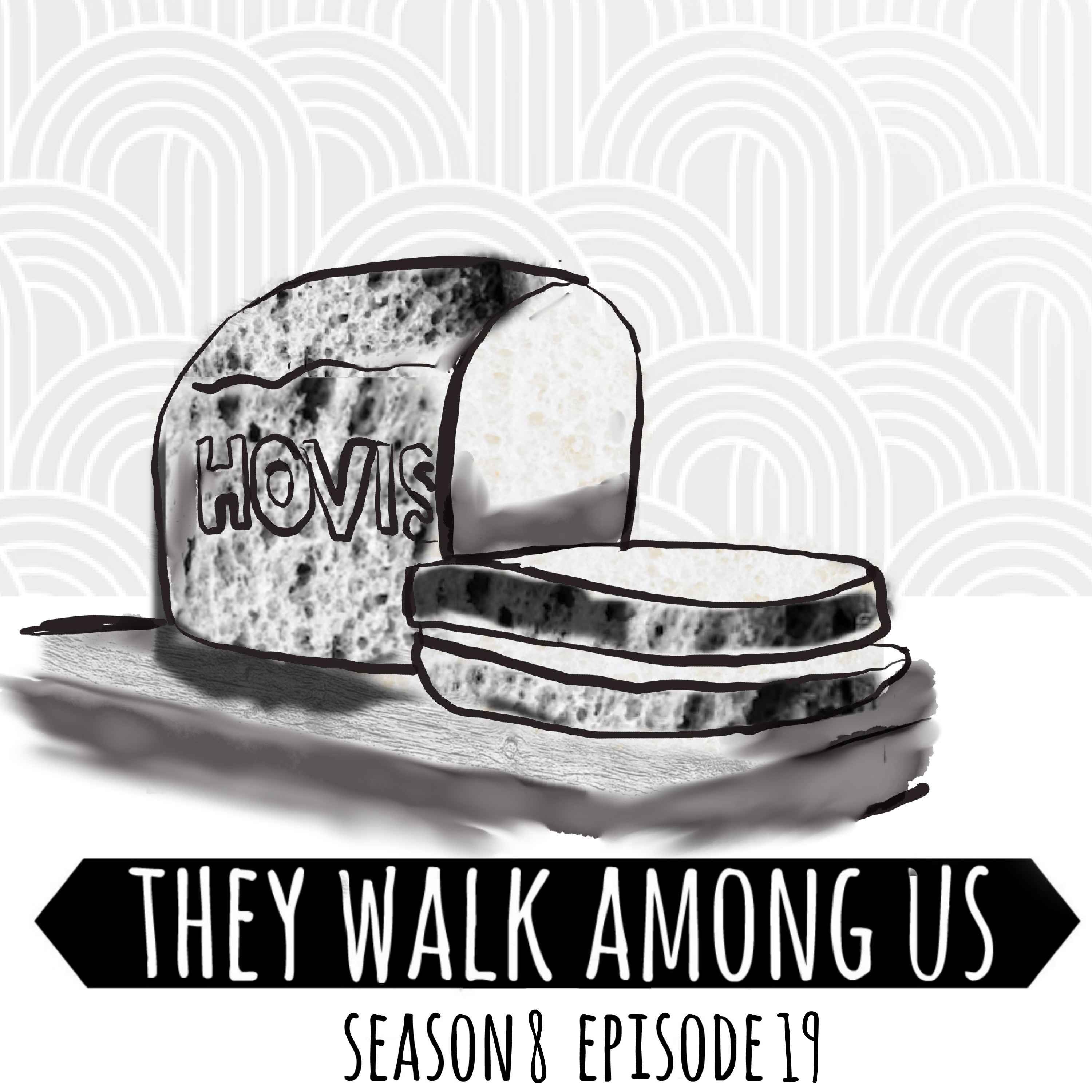 cover art for Season 8 - Episode 19