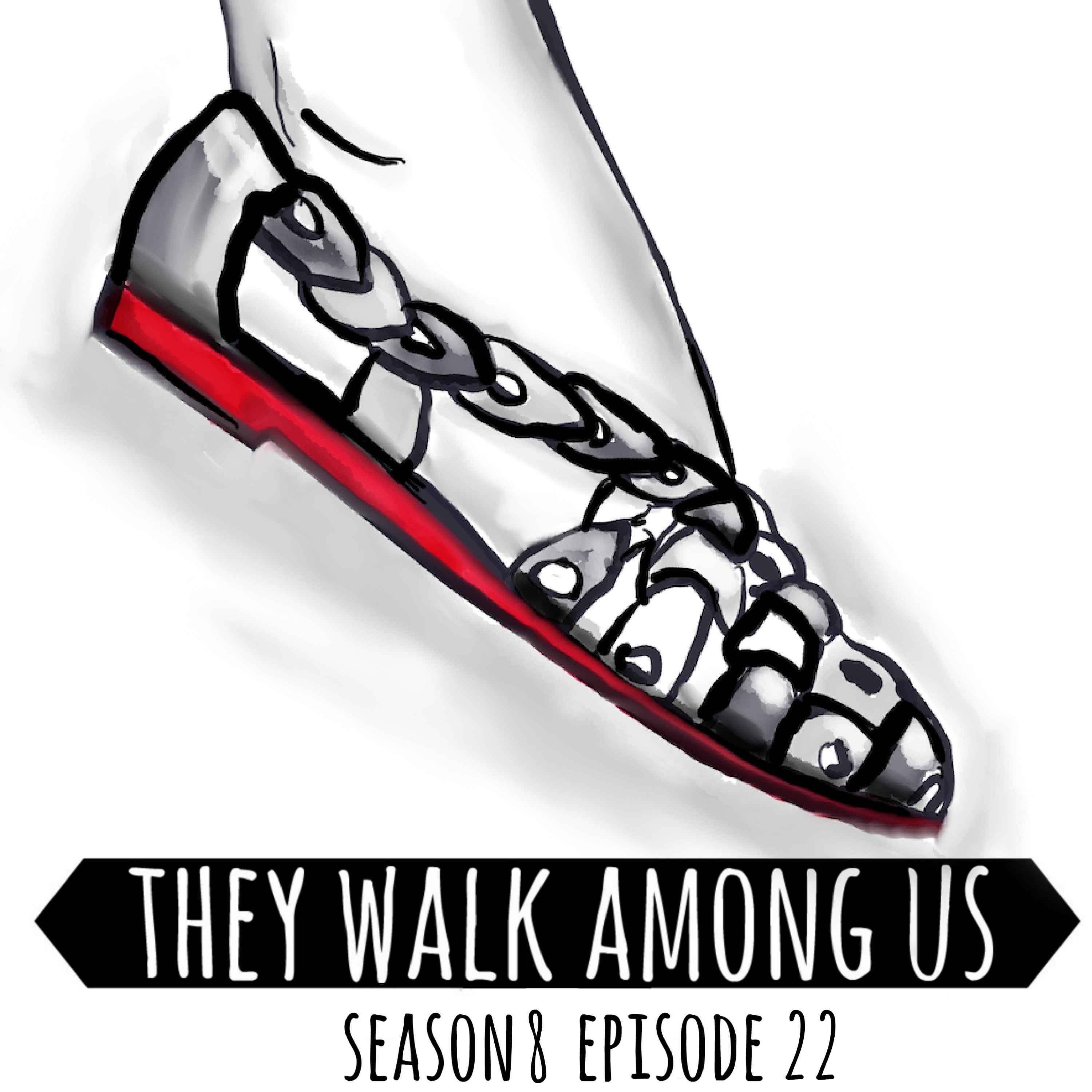 cover art for Season 8 - Episode 22