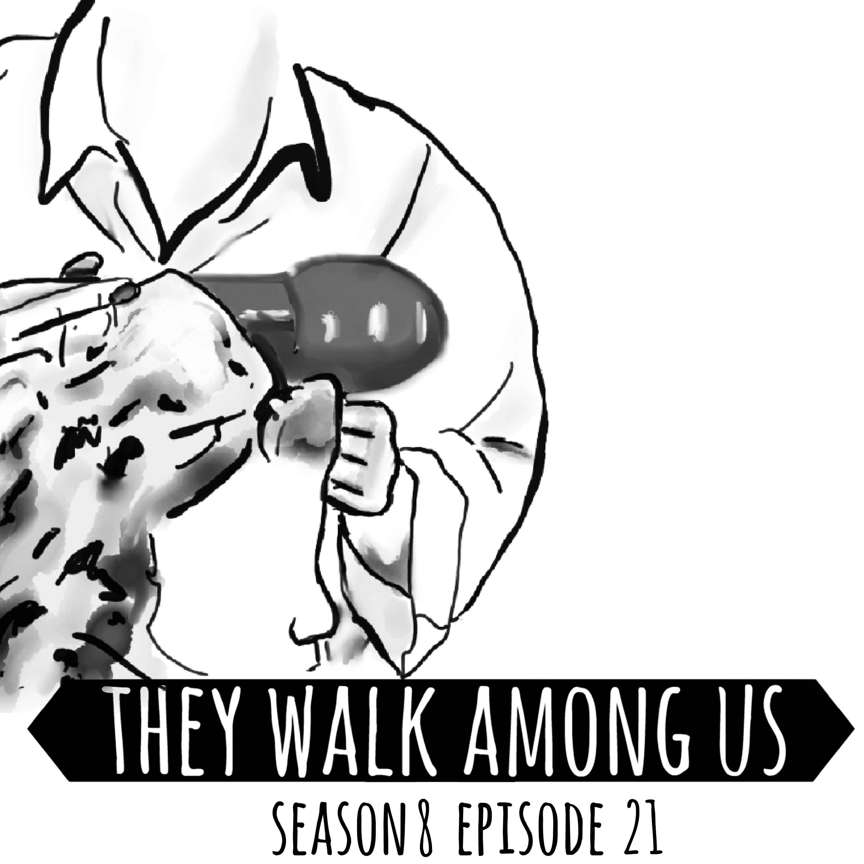cover art for Season 8 - Episode 21