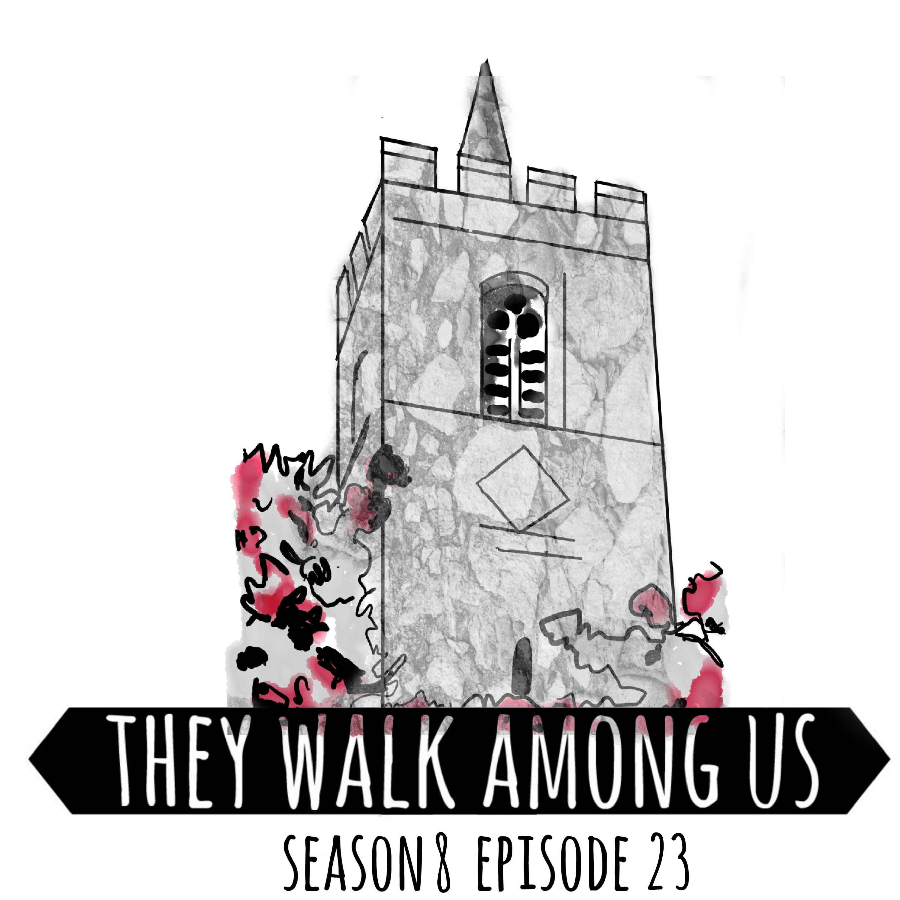 cover art for Season 8 - Episode 23