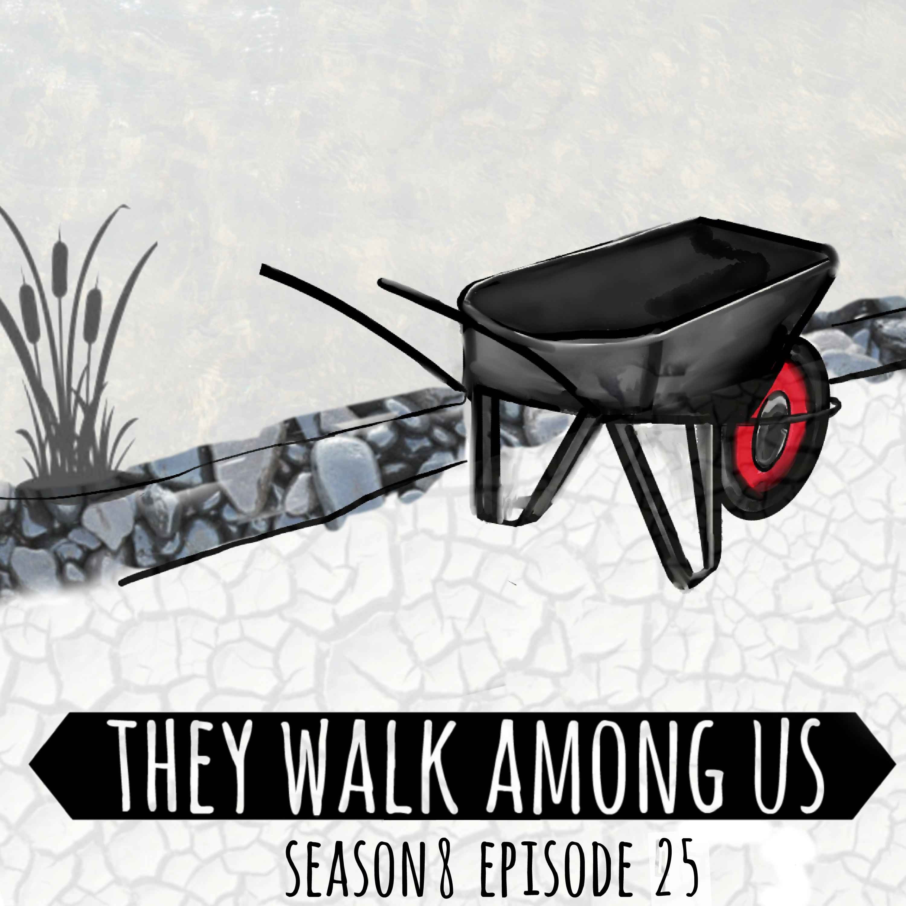 cover art for Season 8 - Episode 25