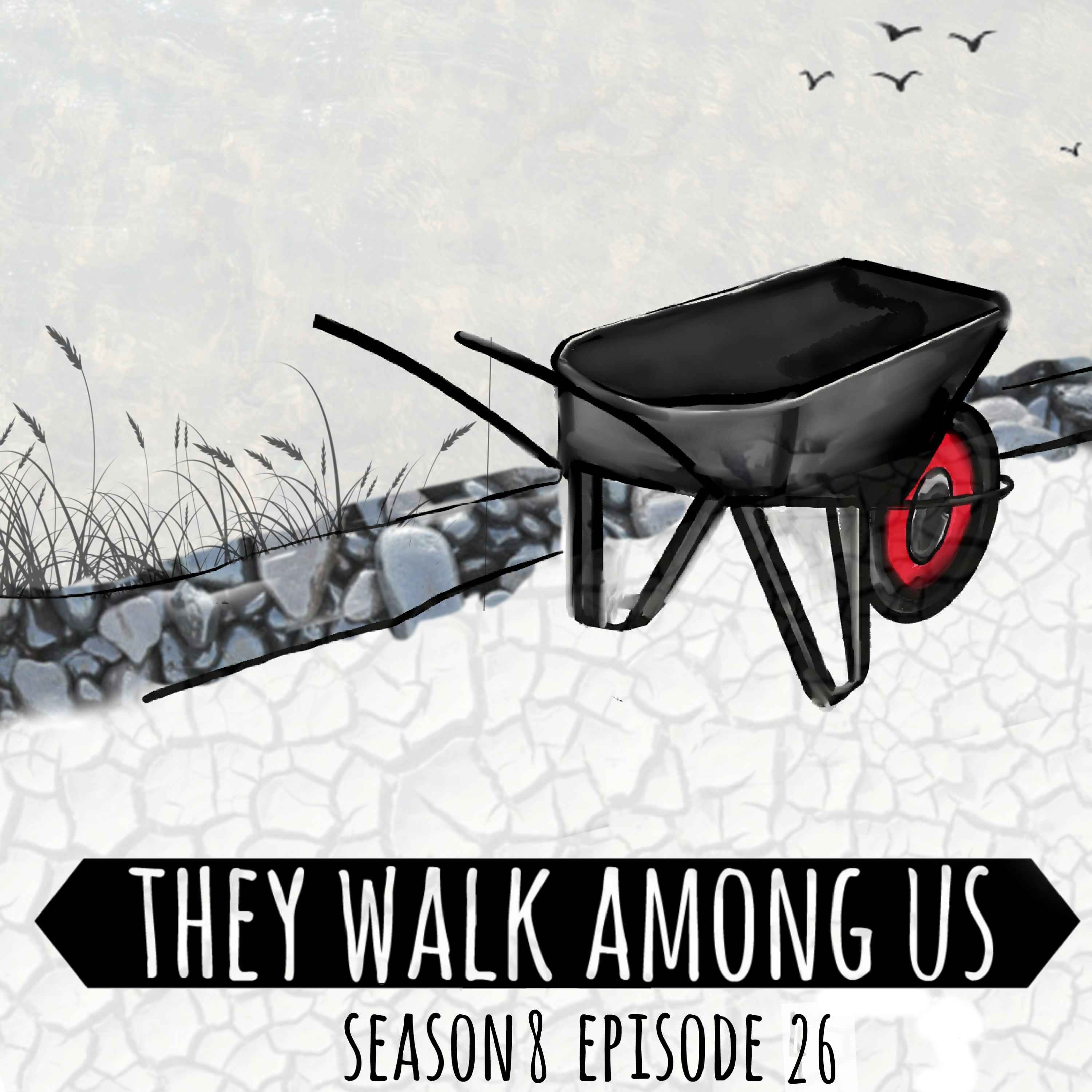 cover art for Season 8 - Episode 26