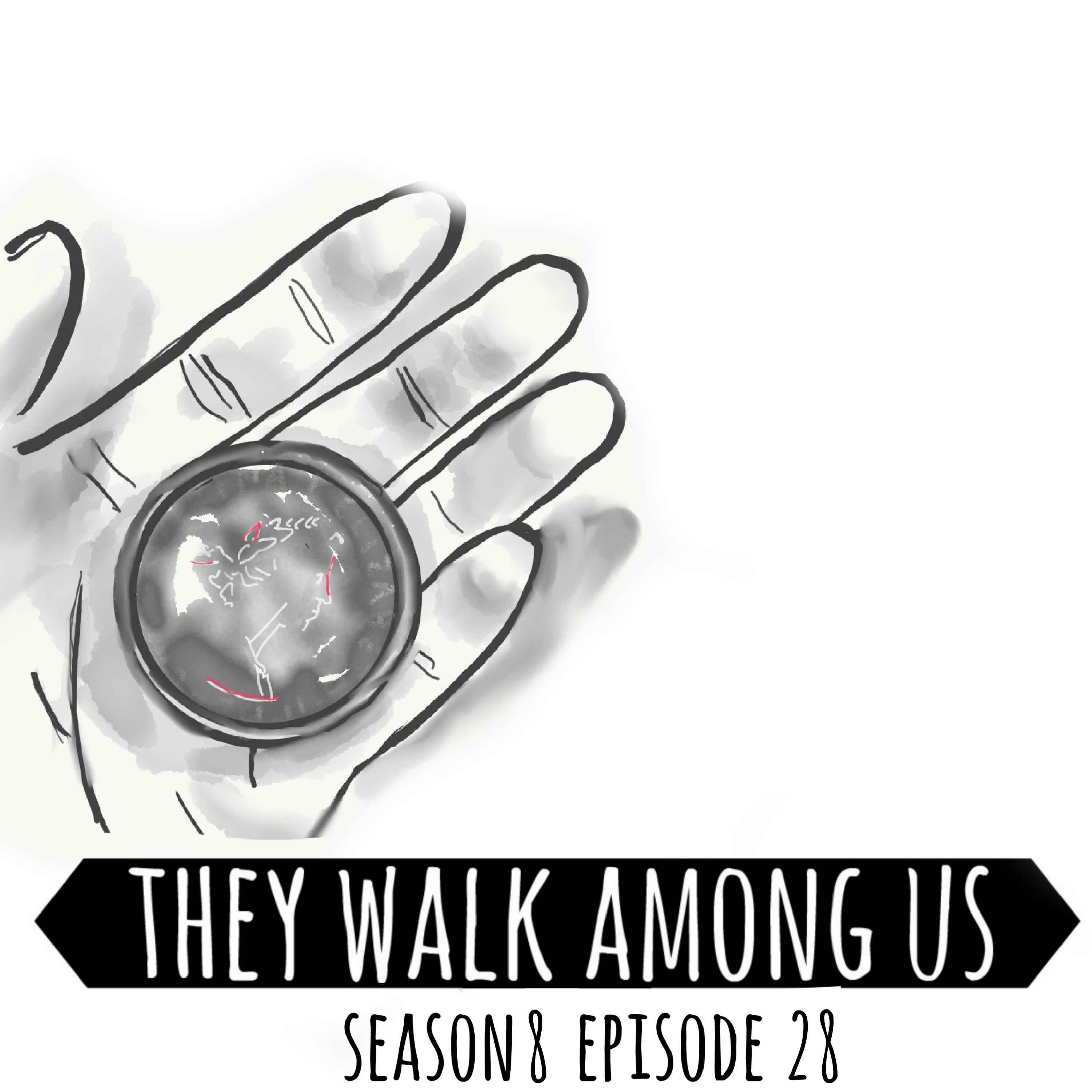 cover art for Season 8 - Episode 28