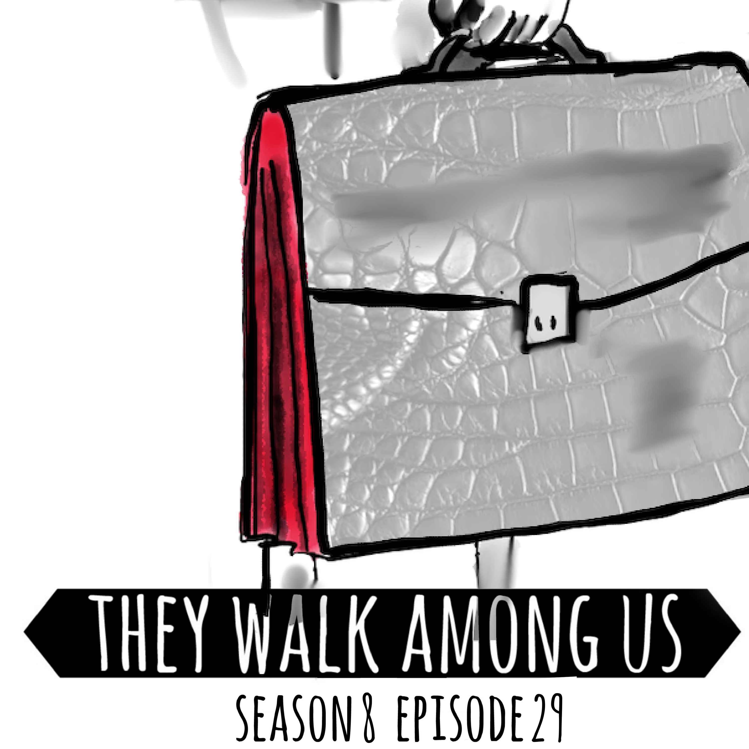cover art for Season 8 - Episode 29
