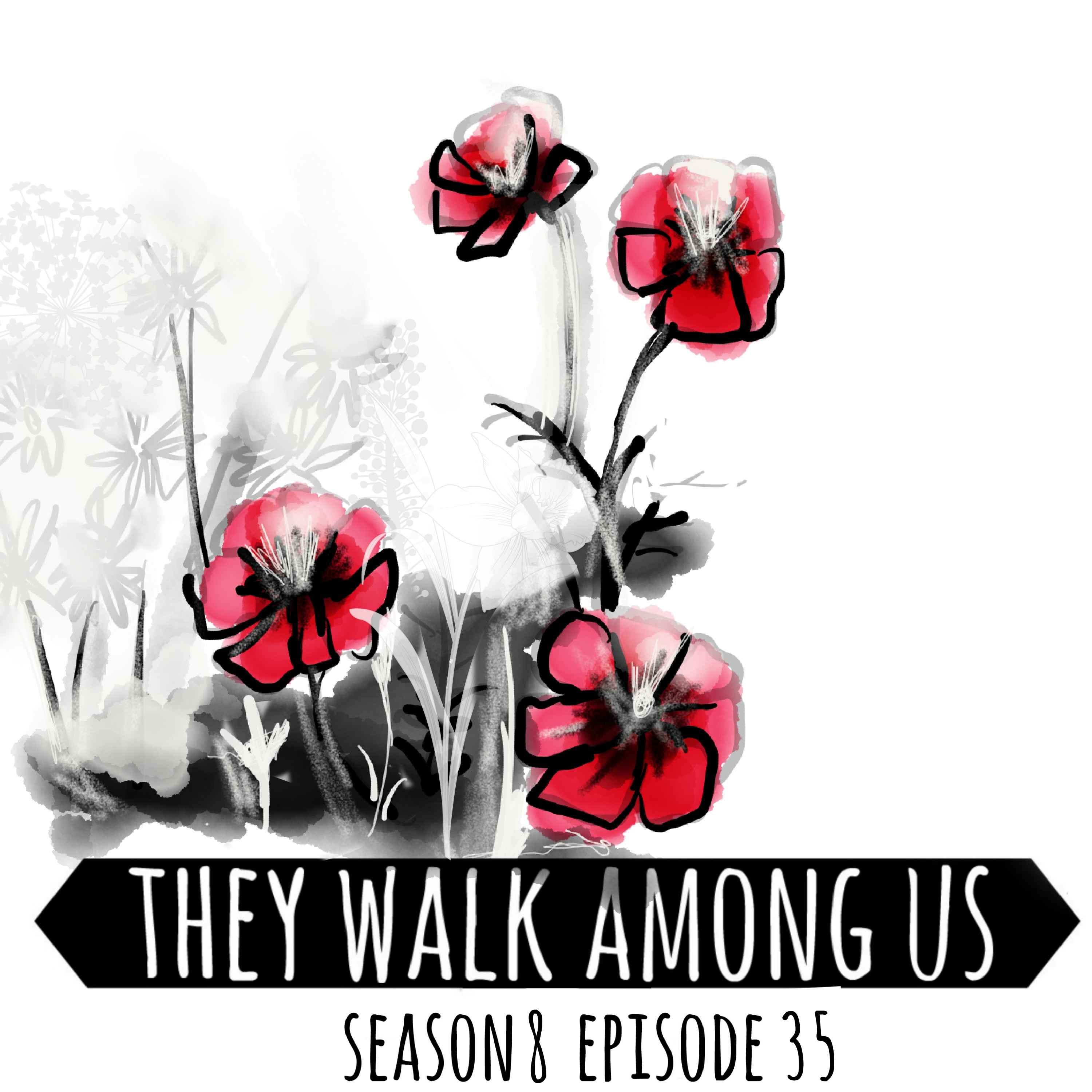 cover art for Season 8 - Episode 35