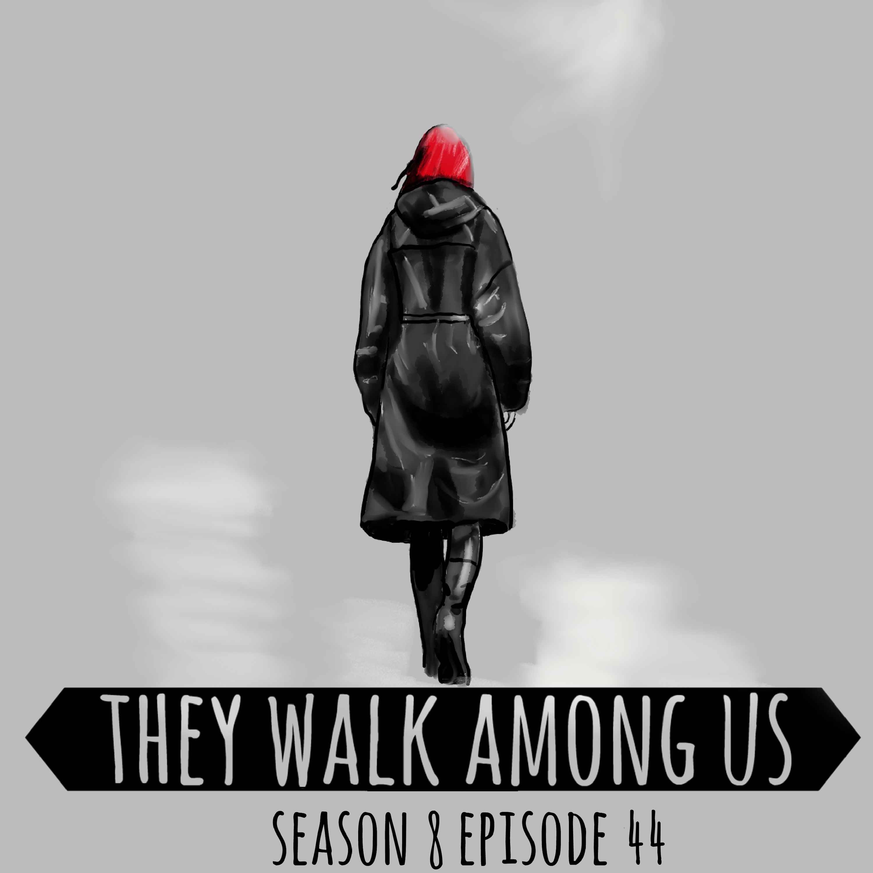 Season 8 - Episode 44