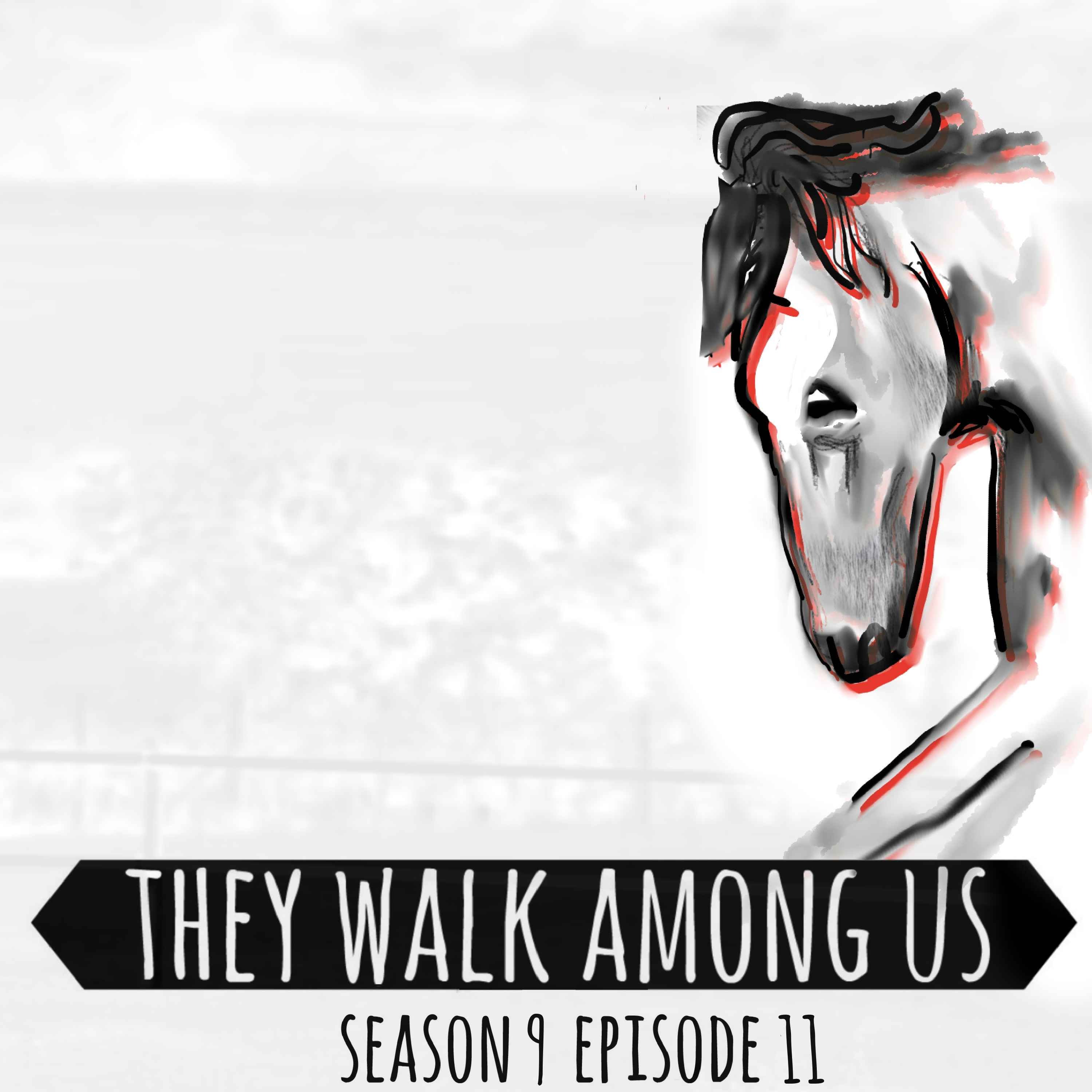 cover art for Season 9 - Episode 11