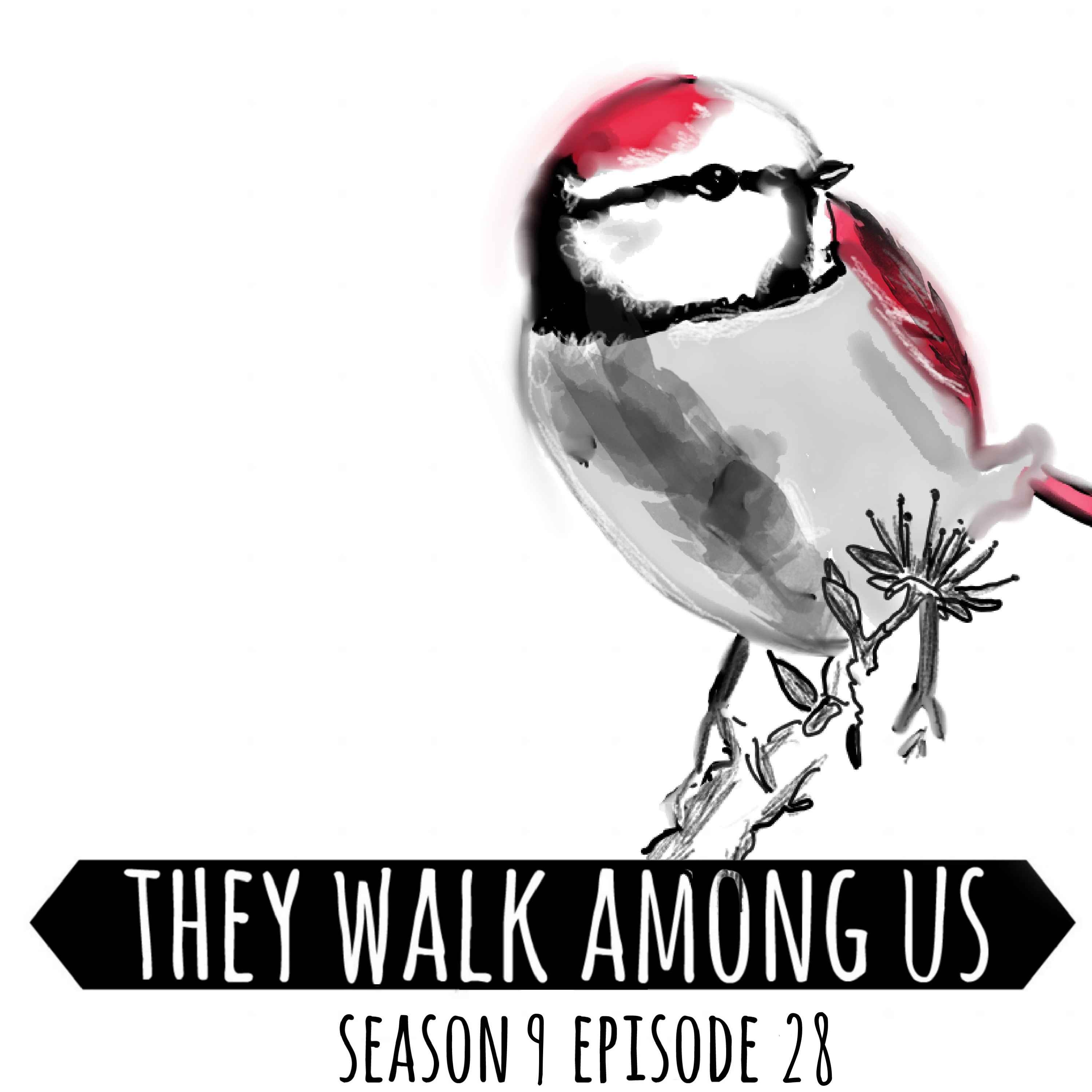 Season 9 - Episode 28