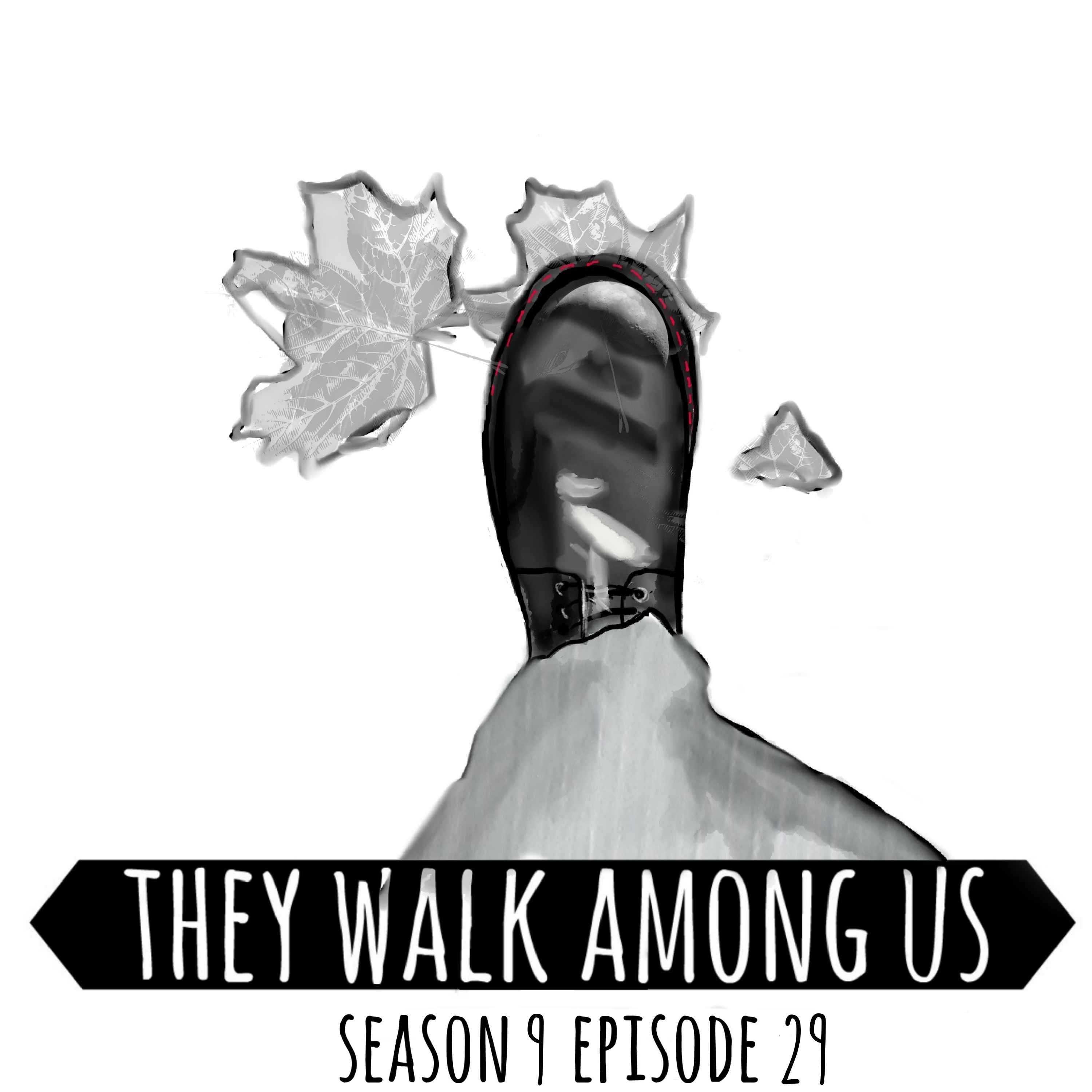 Season 9 - Episode 29