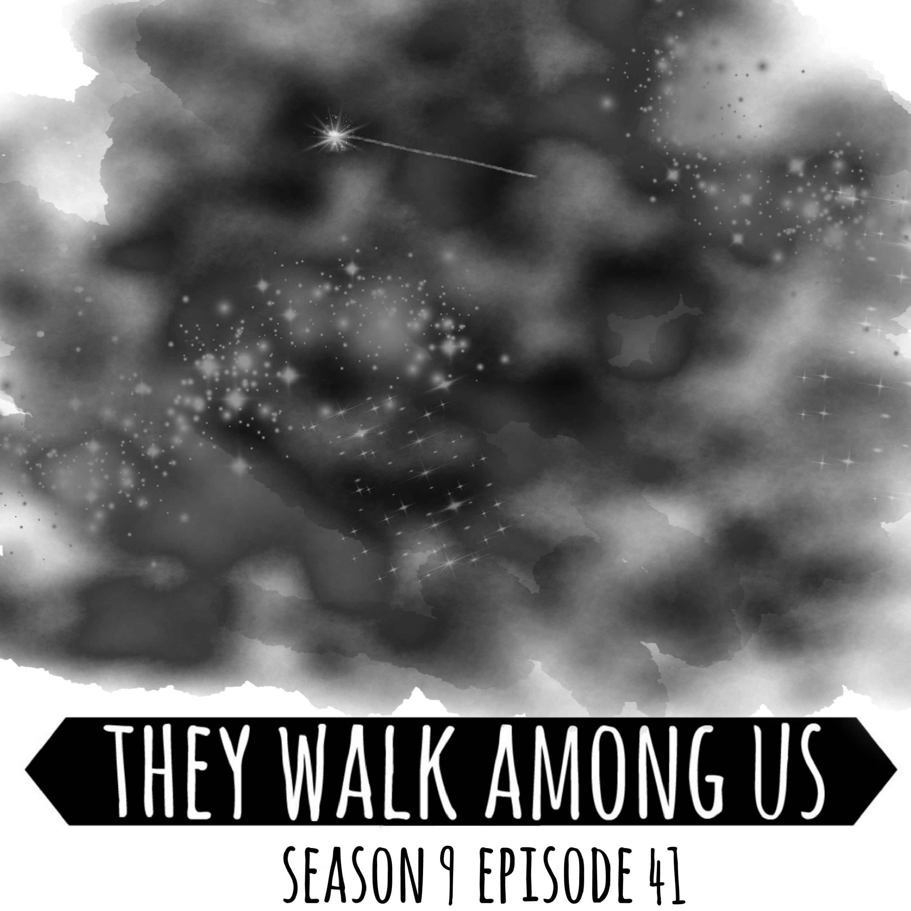 Season 9 - Episode 41