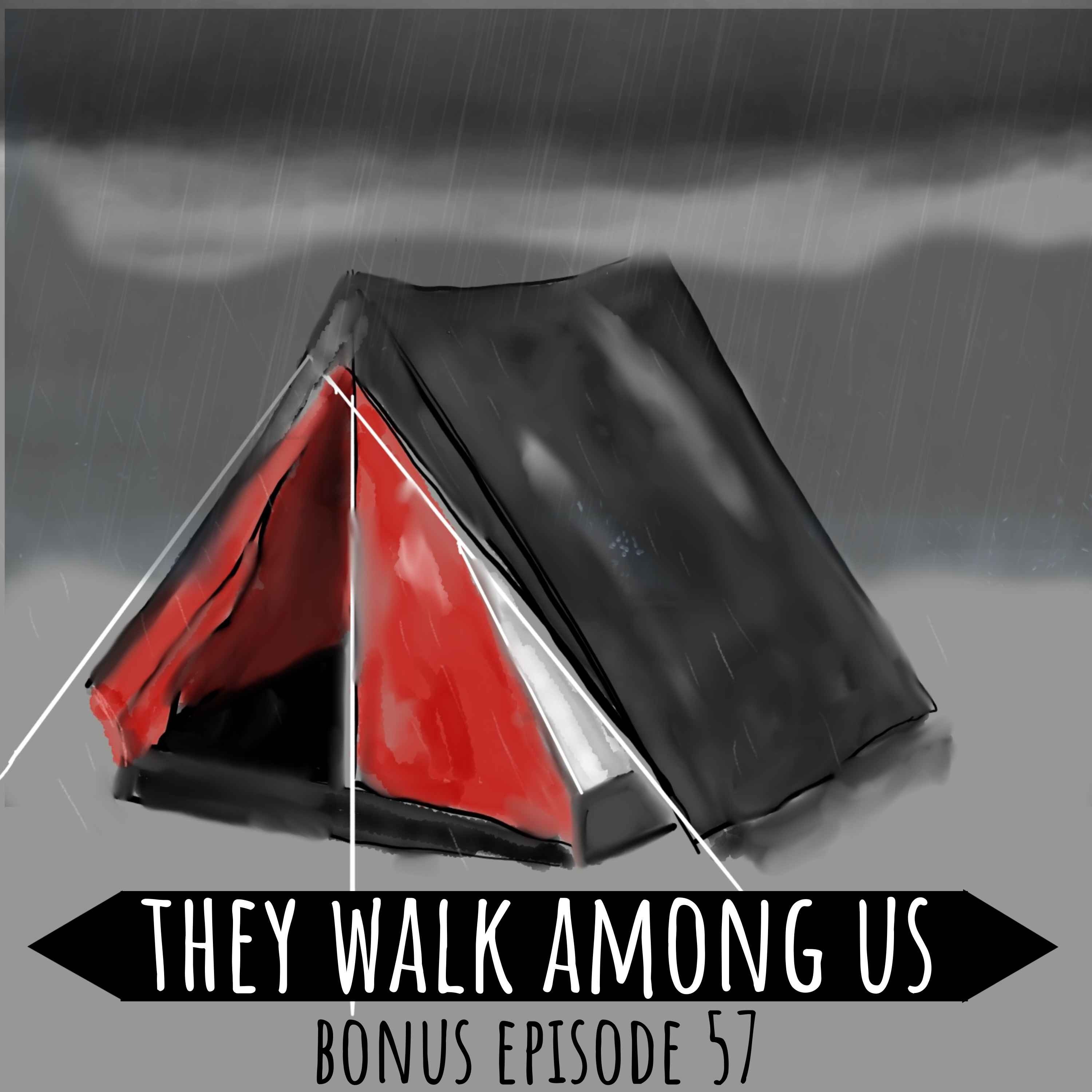 He Called Home From a Phone Box, Then Vanished / Michael Bell