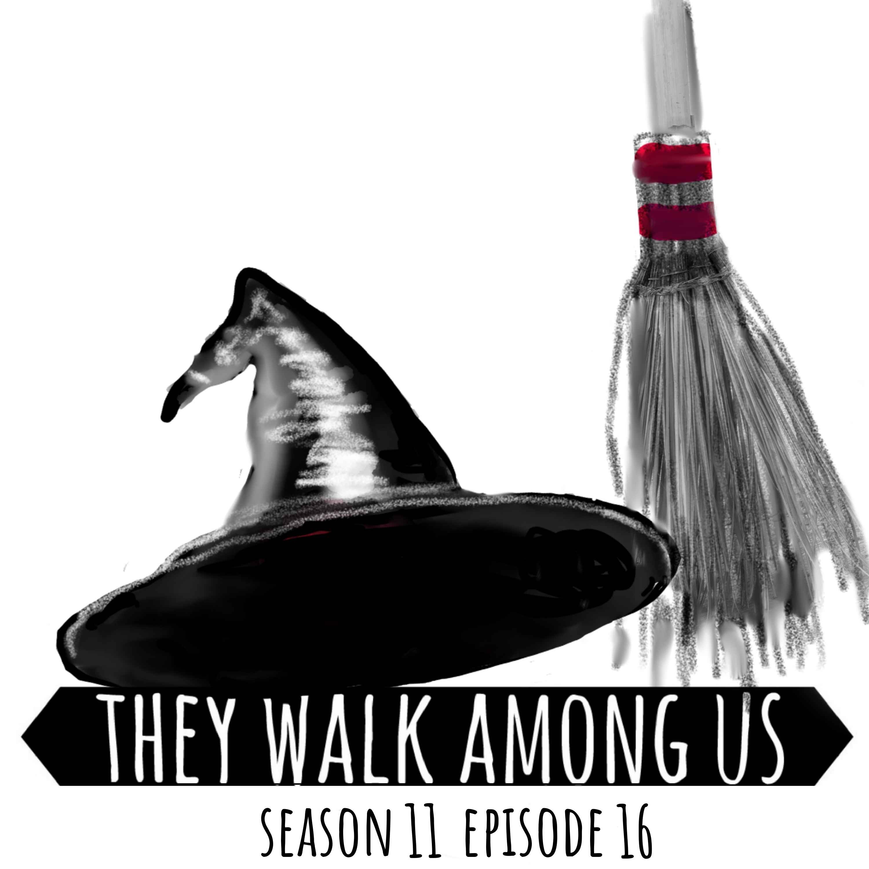 The Witch of Tewkesbury: 25 Years of Captivity / Amanda Wixon