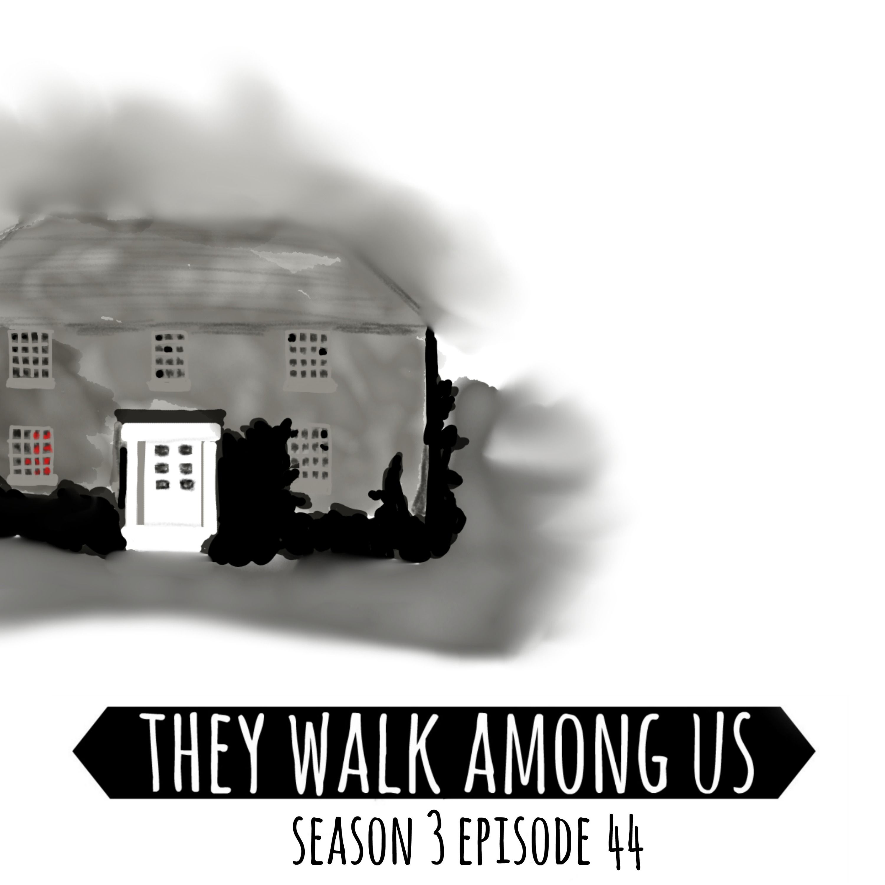 cover art for Season 3 - Episode 44